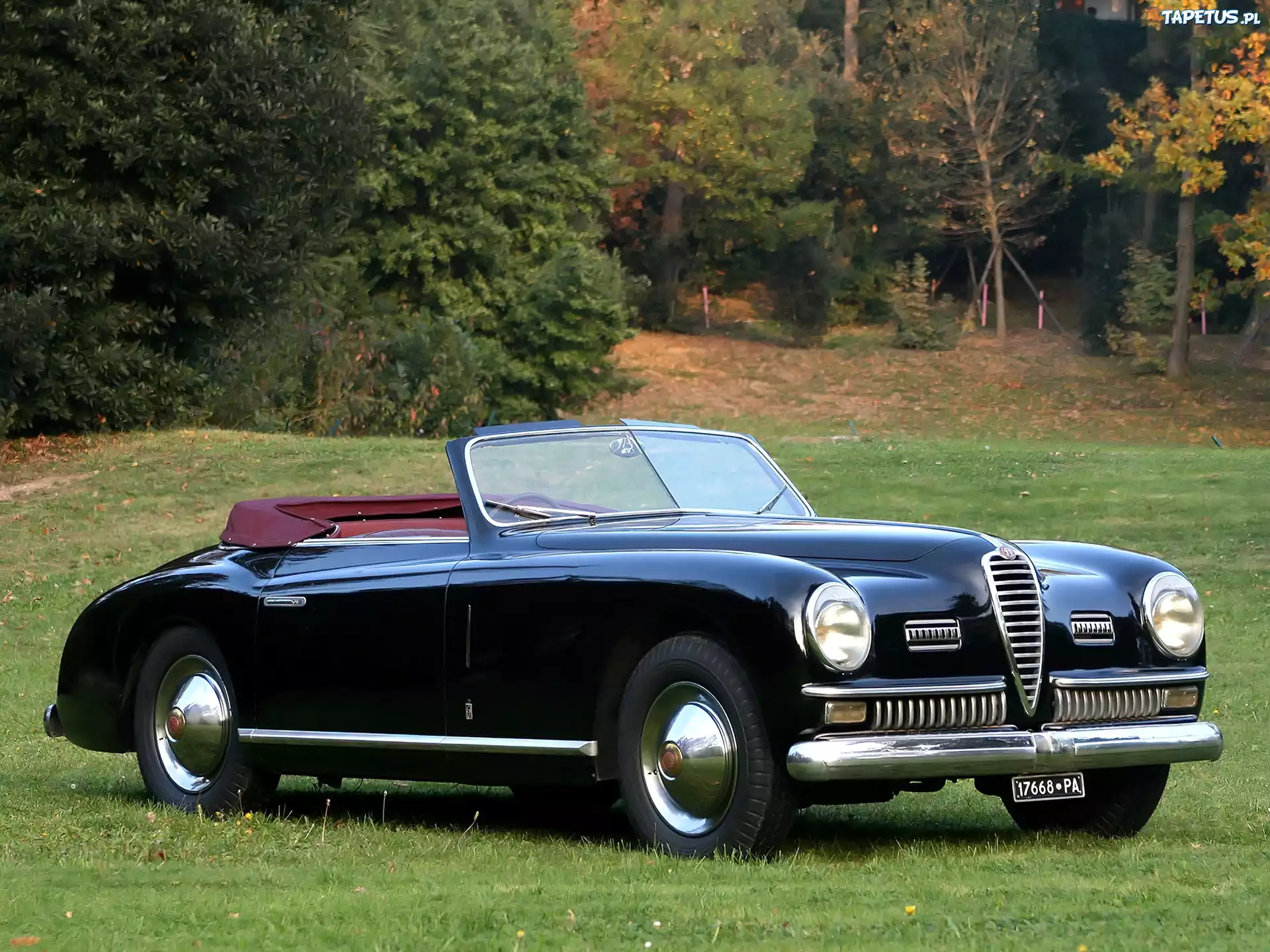 Zabytkowa, Alfa Romeo, 6c, Łąka, Drzewa