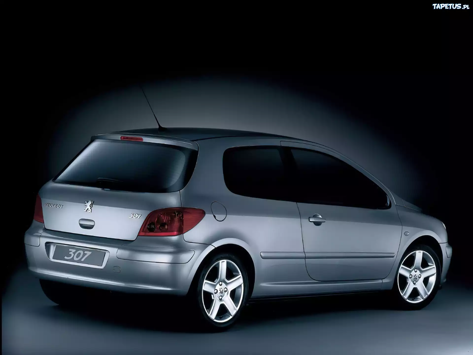 Peugeot 307, Sport