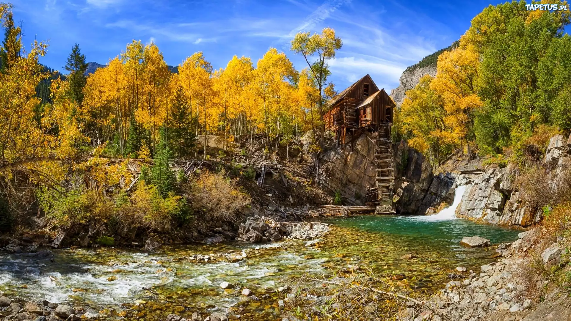 Aspen Forest in Early Fall, Ohio Pass, Gunnison National Forest, Colorado скачать