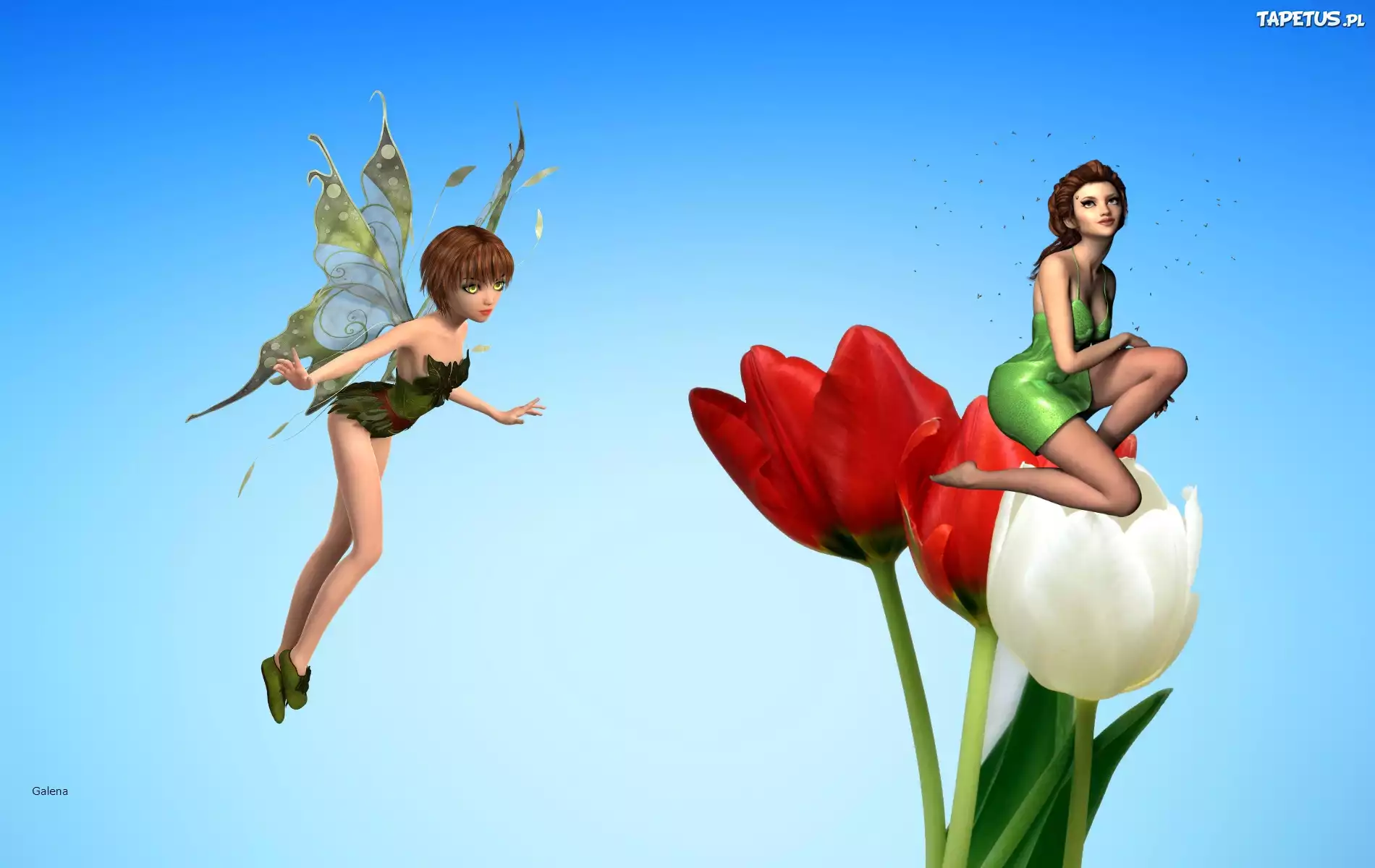 Wróżki, Tulipany, Grafika