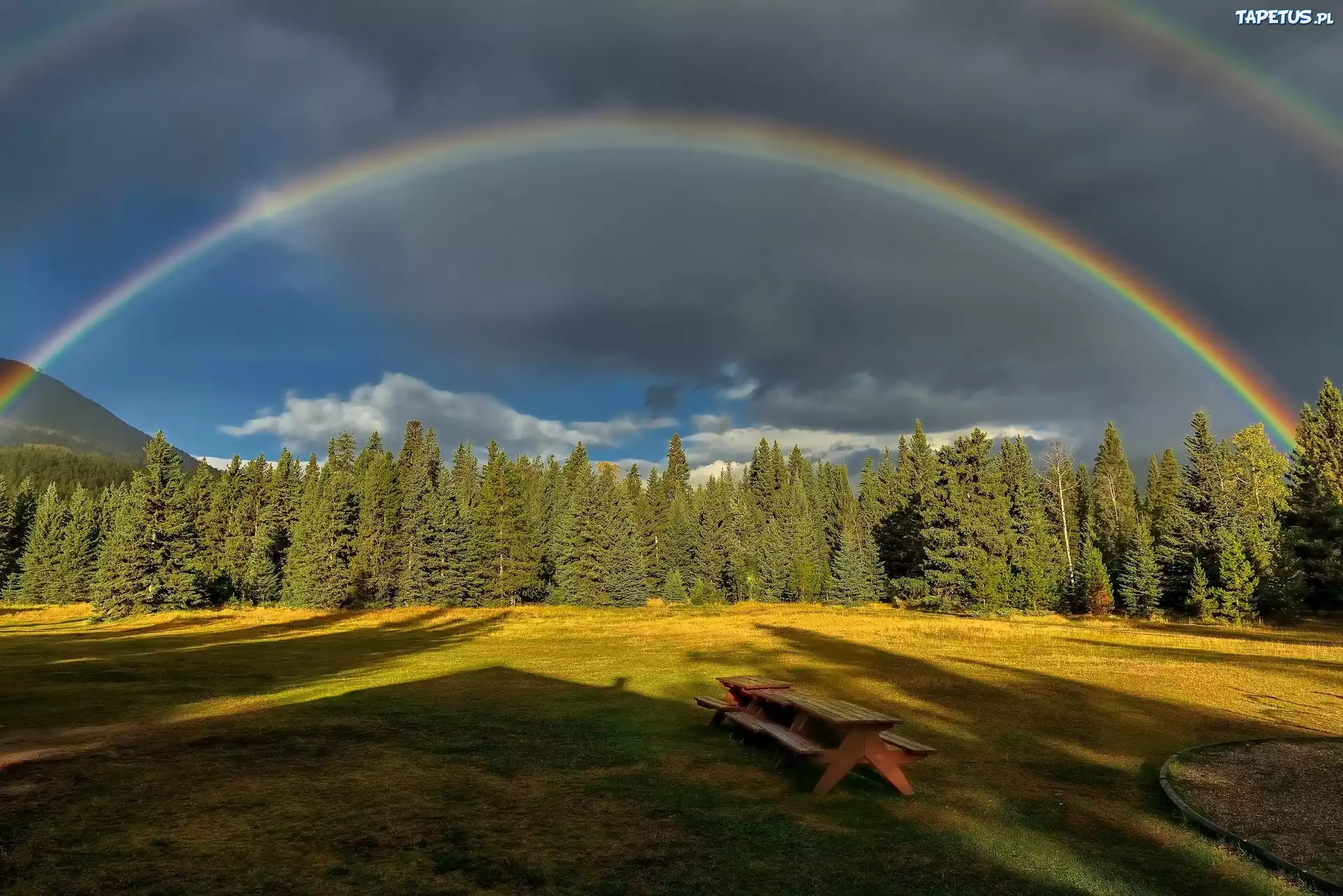 Niebo, Tęcza, Las, Ławka