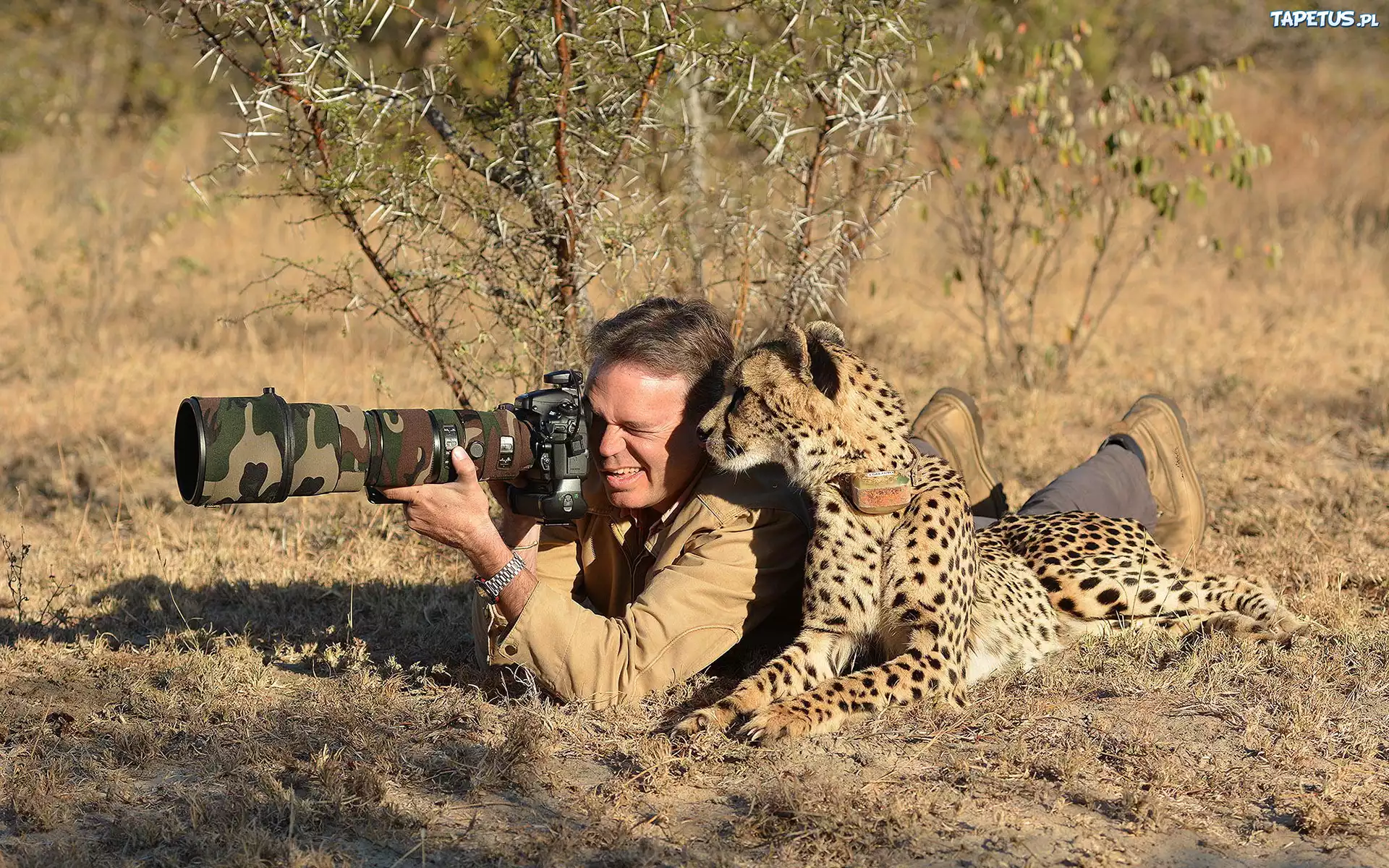 Fotograf, Aparat, Gepard