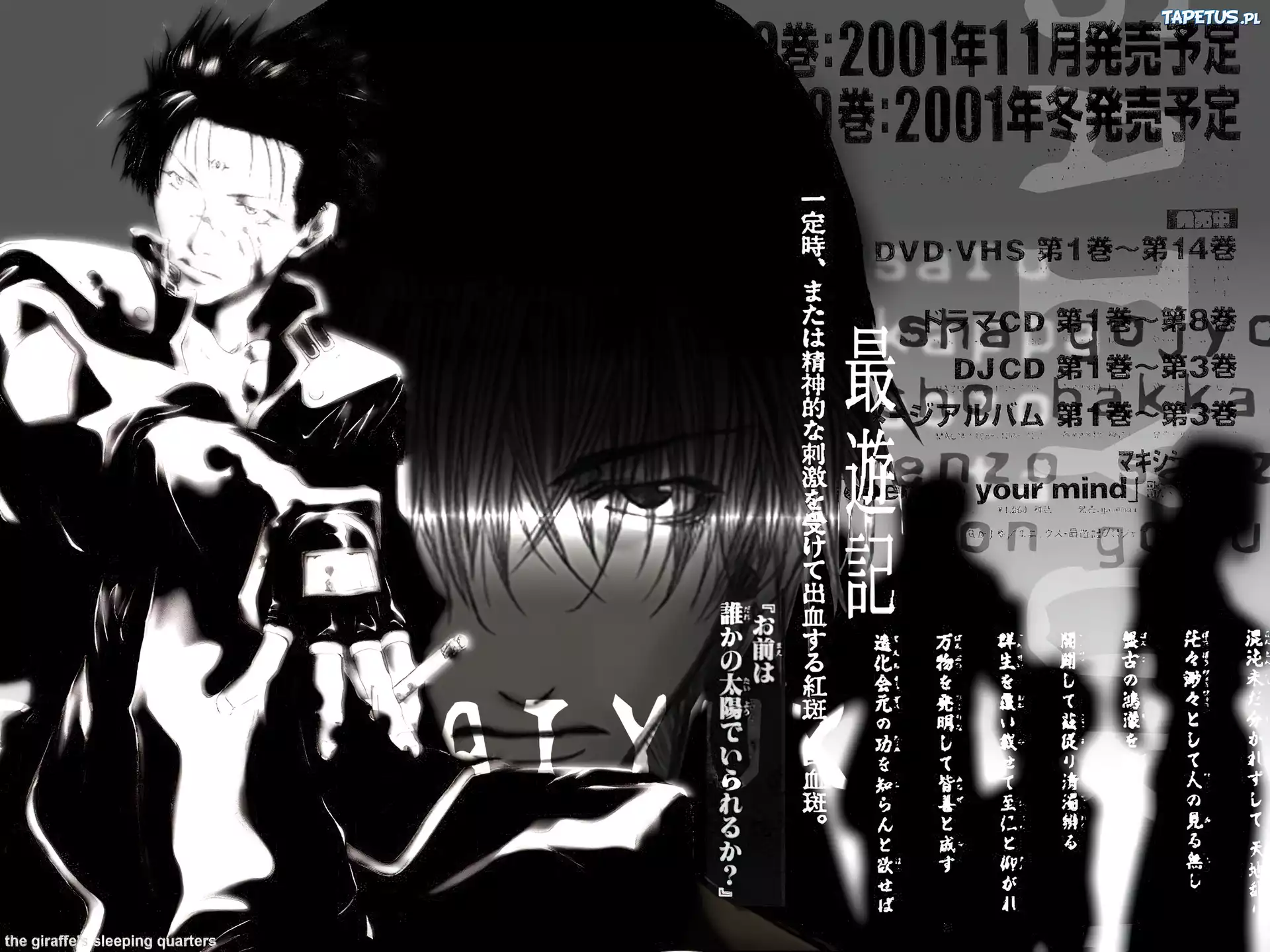 Saiyuki, z napisami , facet