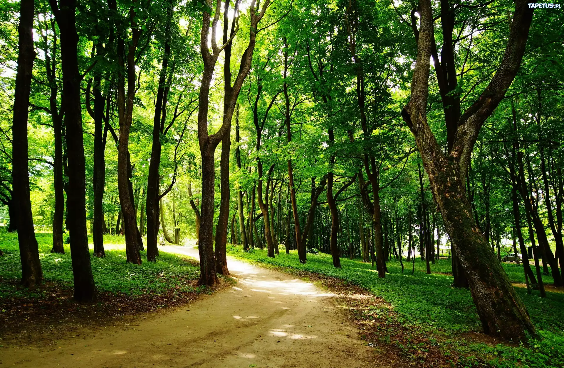 Park