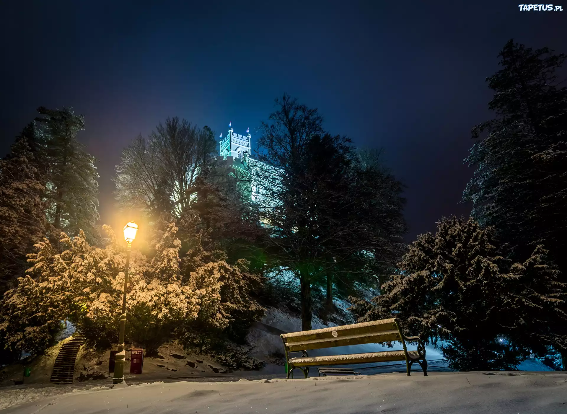 Zima, Śnieg, Noc, Park, Drzewa, Ławka, Lampa, Zamek
