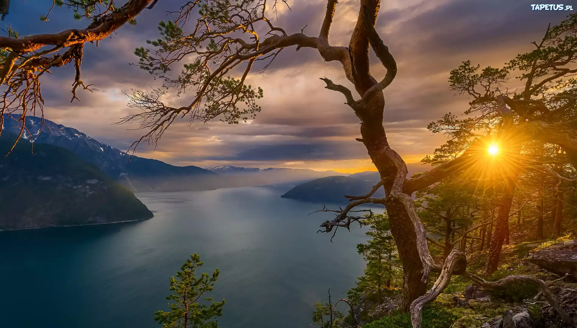 Góry, Promienie Słońca, Fiord, Norwegia, Mgła, Drzewa