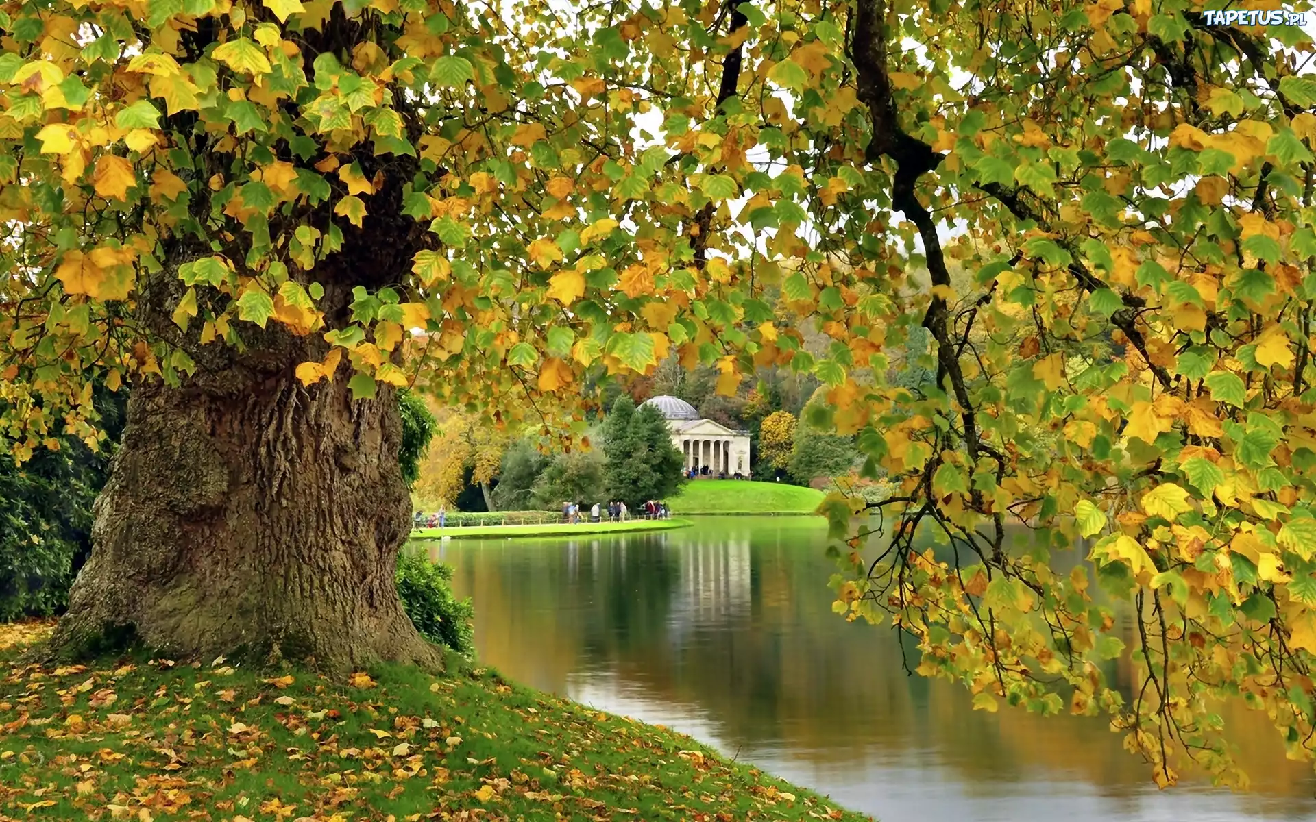 Park, Jezioro, Drzewa, Rezydencja, Stourhead, Anglia, Jesień