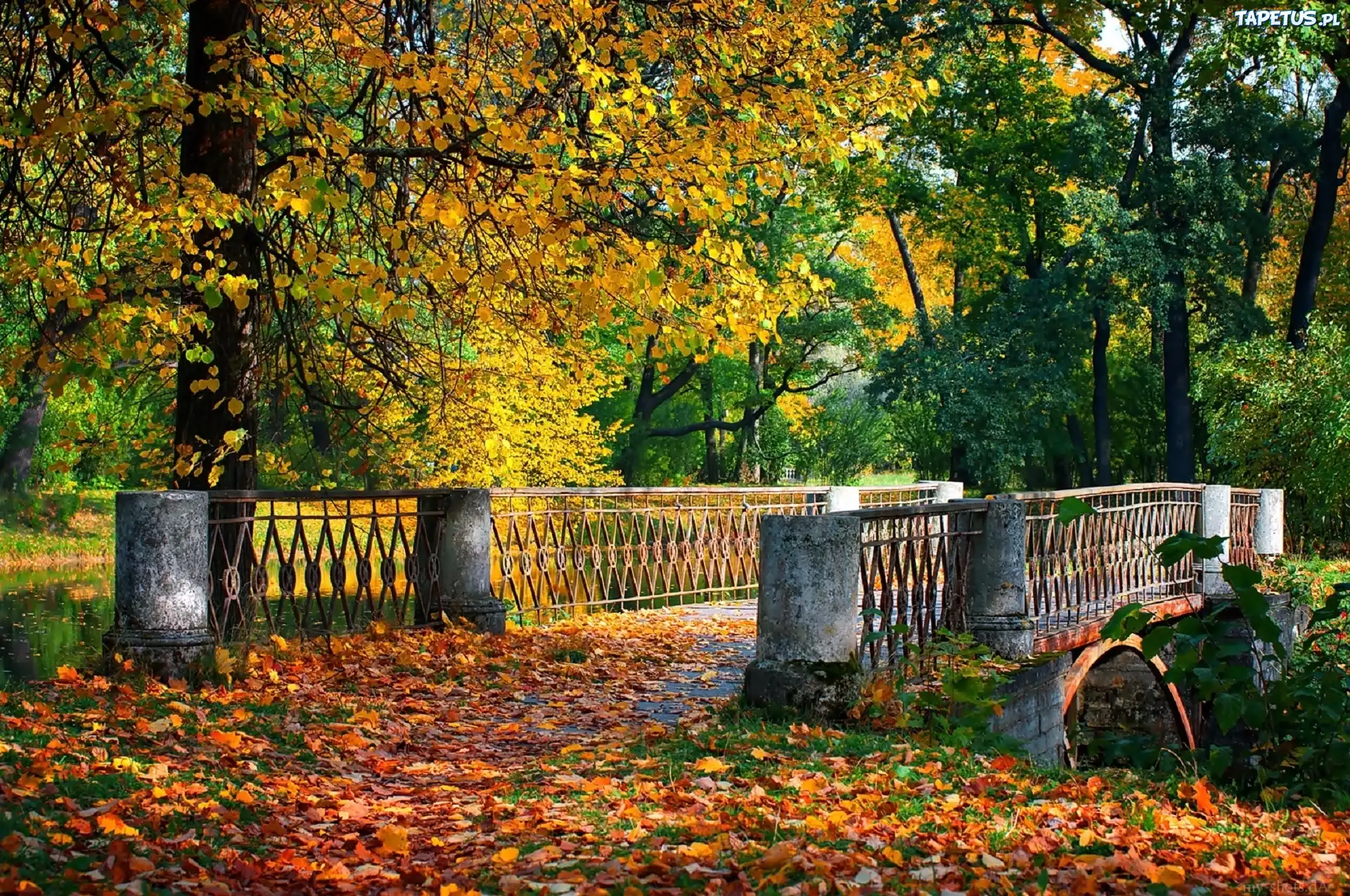 Most, Rzeka, Liście, Park, Jesień