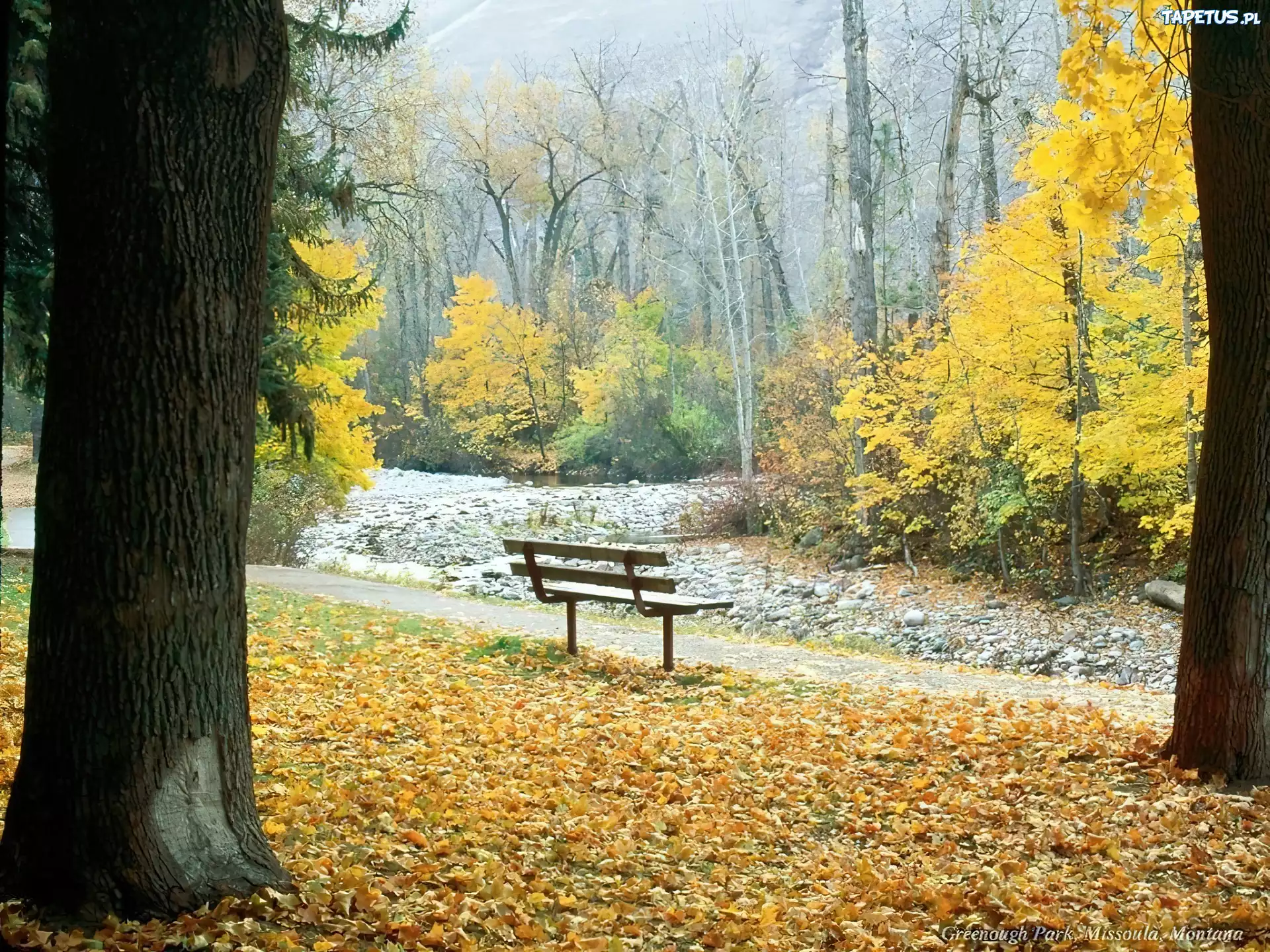 Jesień, Park