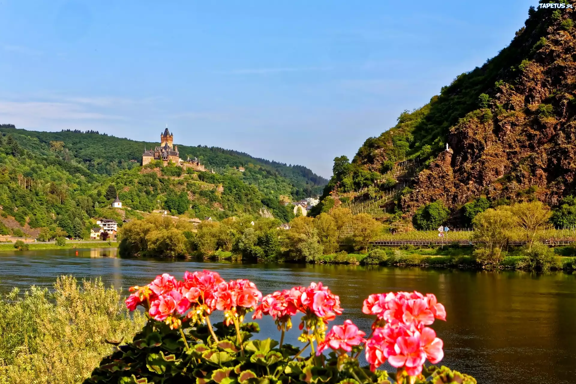 Rzeka, Góry, Lasy, Zamek, Cochem, Pelargonie