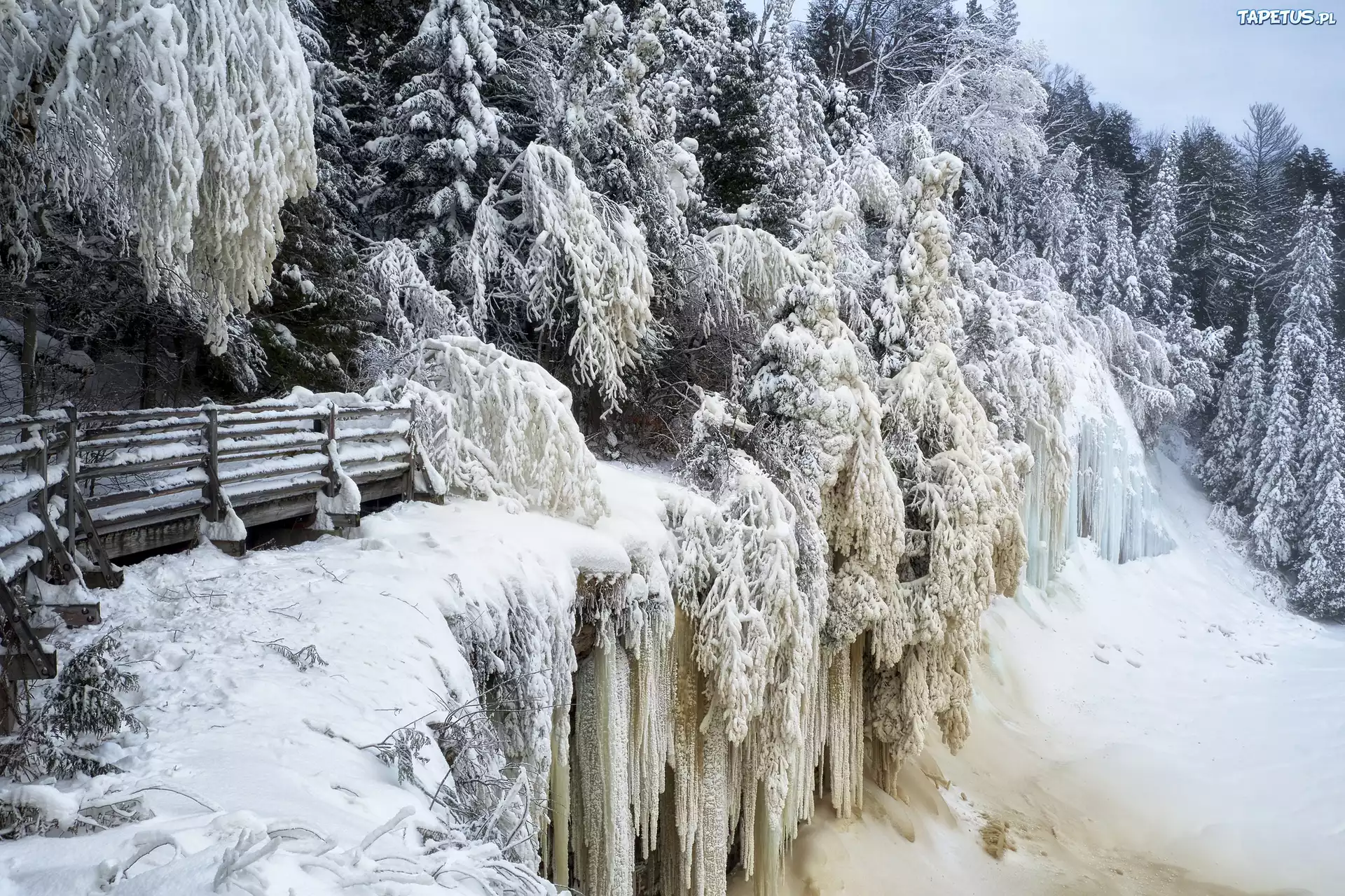 водопад снег лес waterfall snow forest скачать