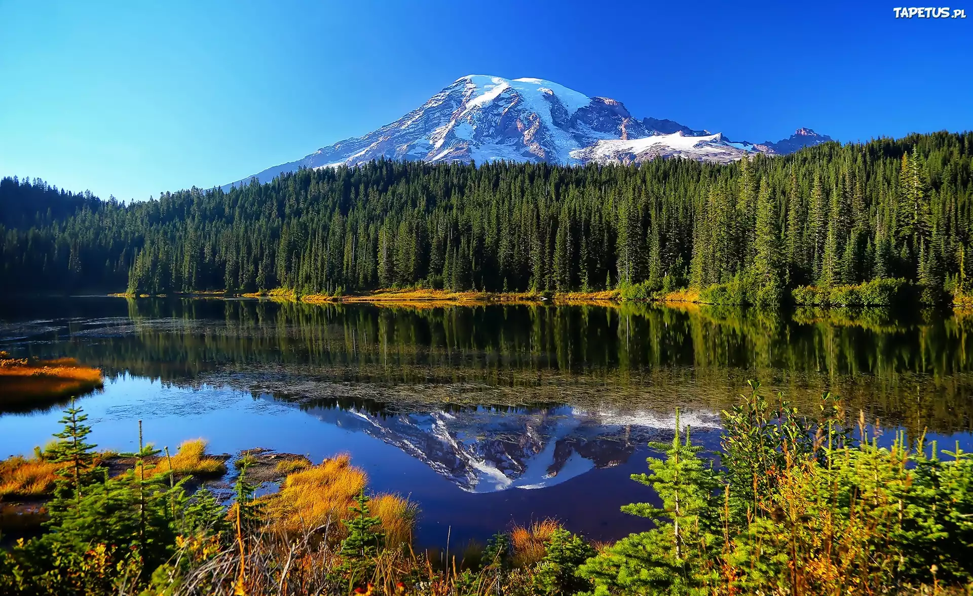 Góry, Las, Jezioro, Park Narodowy, Mount Rainier