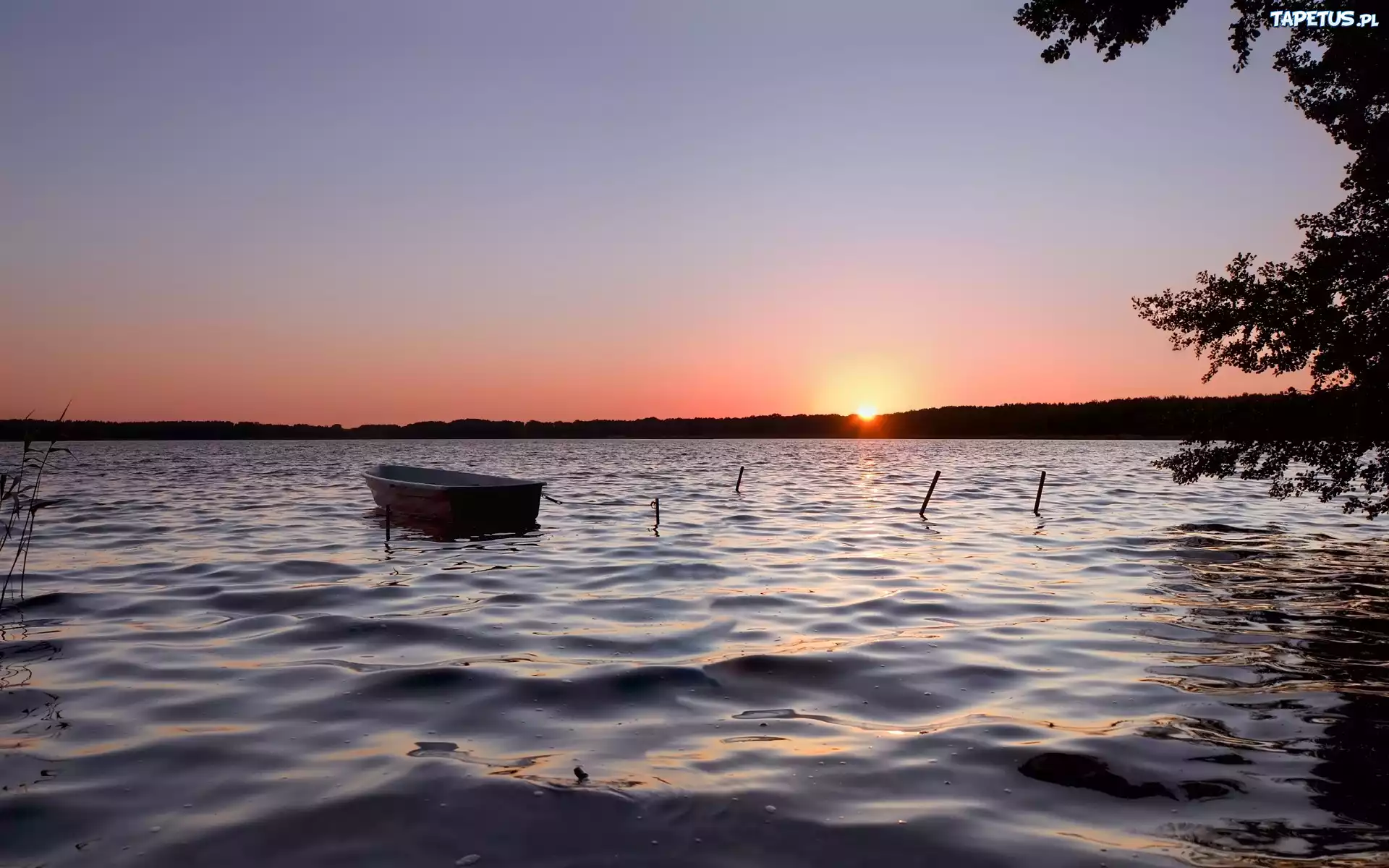 Wschód, Słońca, Jezioro, Łódka, Las