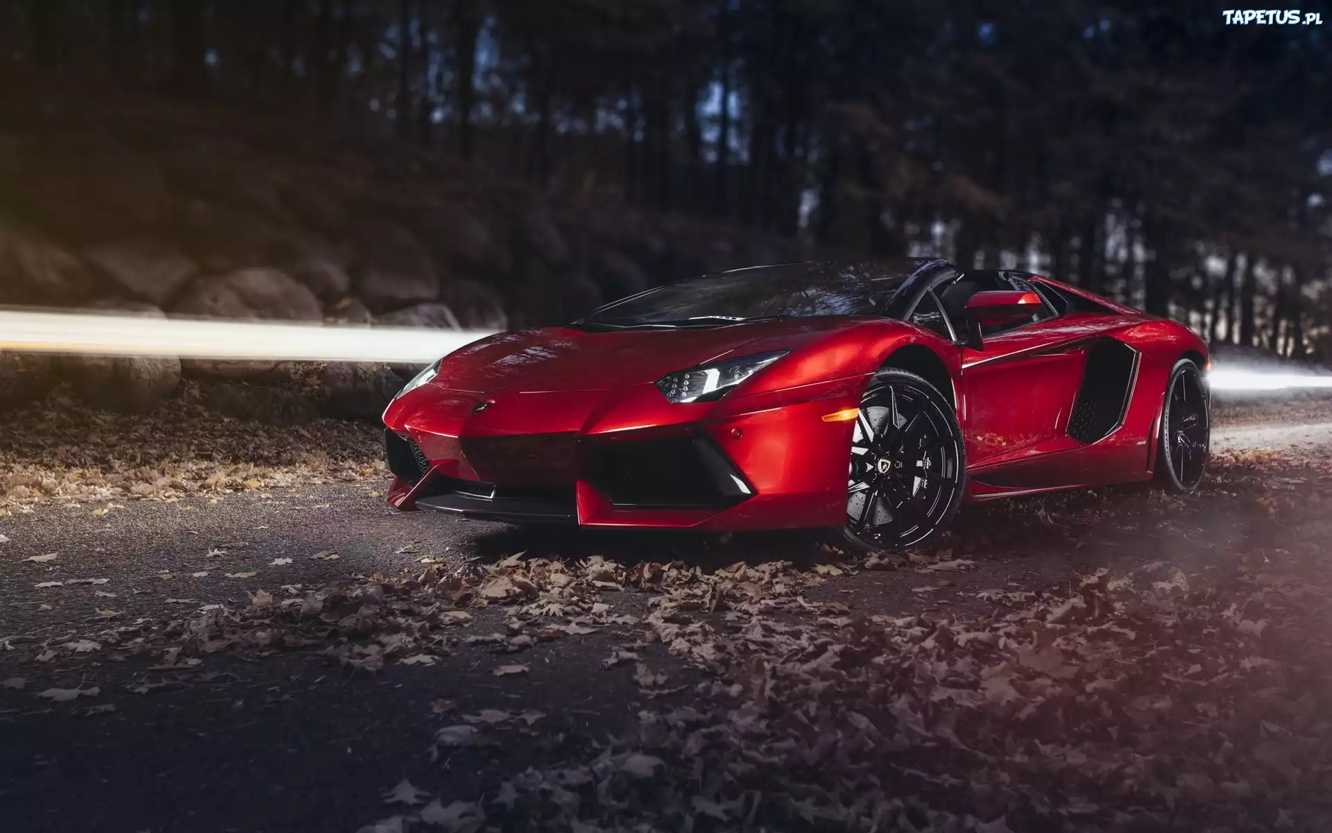 Samochód, Lamborghini, Ulica, Drzewa