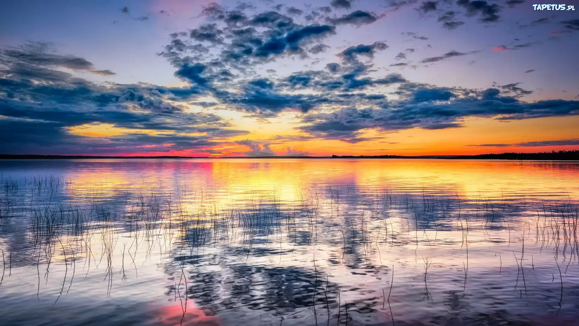 Finlandia, Jezioro Oijärvi, Trawy, Zachód słońca