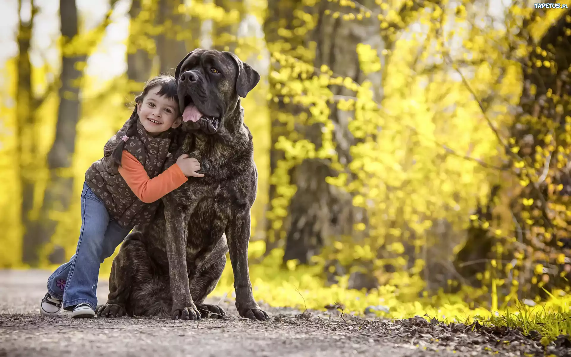 Dziecko, Dziewczynka, Pies, Pręgowany, Bullmastiff, Alejka