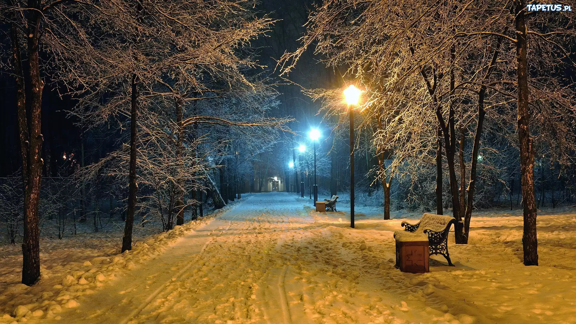 Zima, Park, Ławki, Latarnie, Ośnieżone, Drzewa