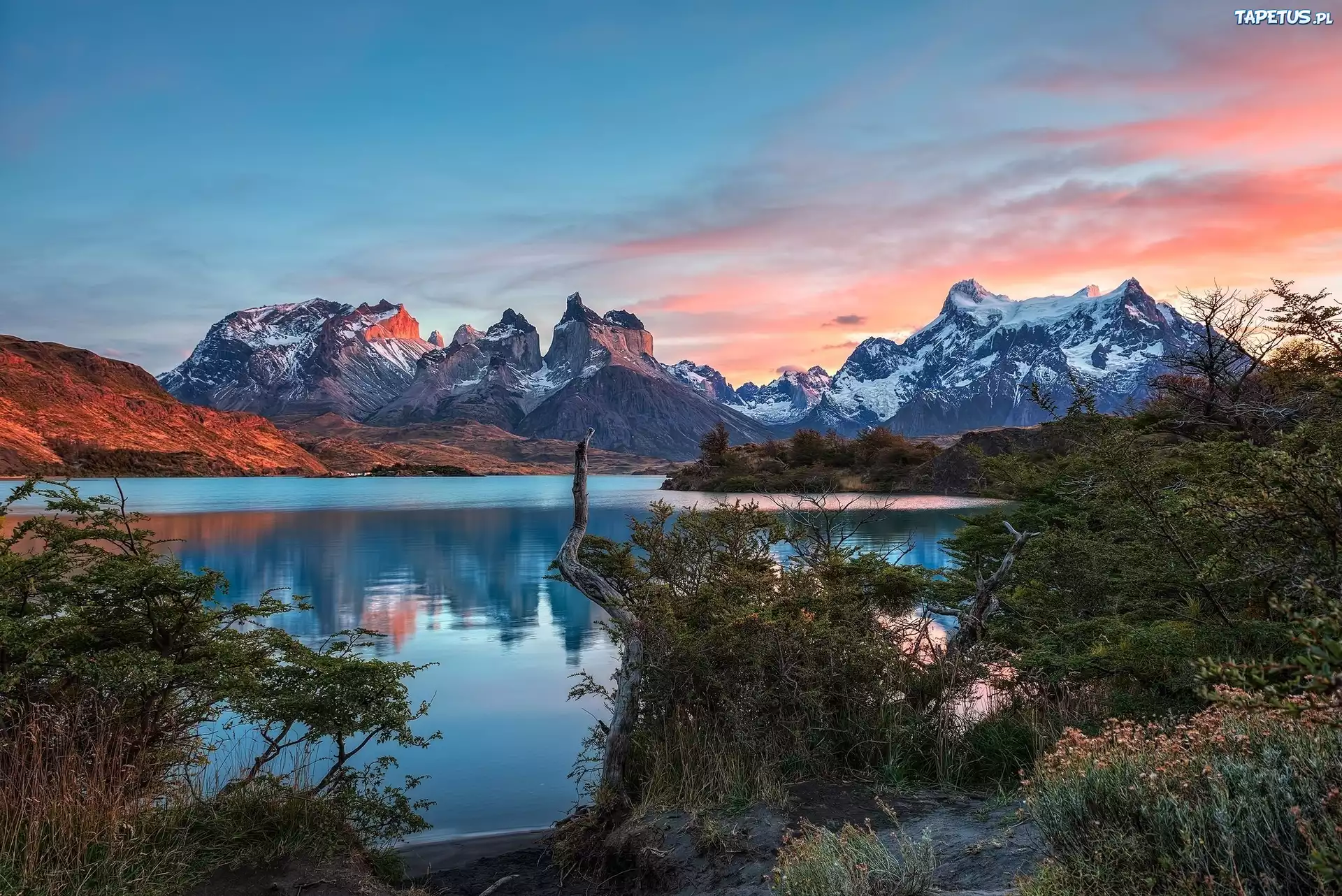 Chile, Patagonia, Góry Torres del Paine, Ośnieżone, Szczyty, Jezioro, Zachód słońca, Krzewy