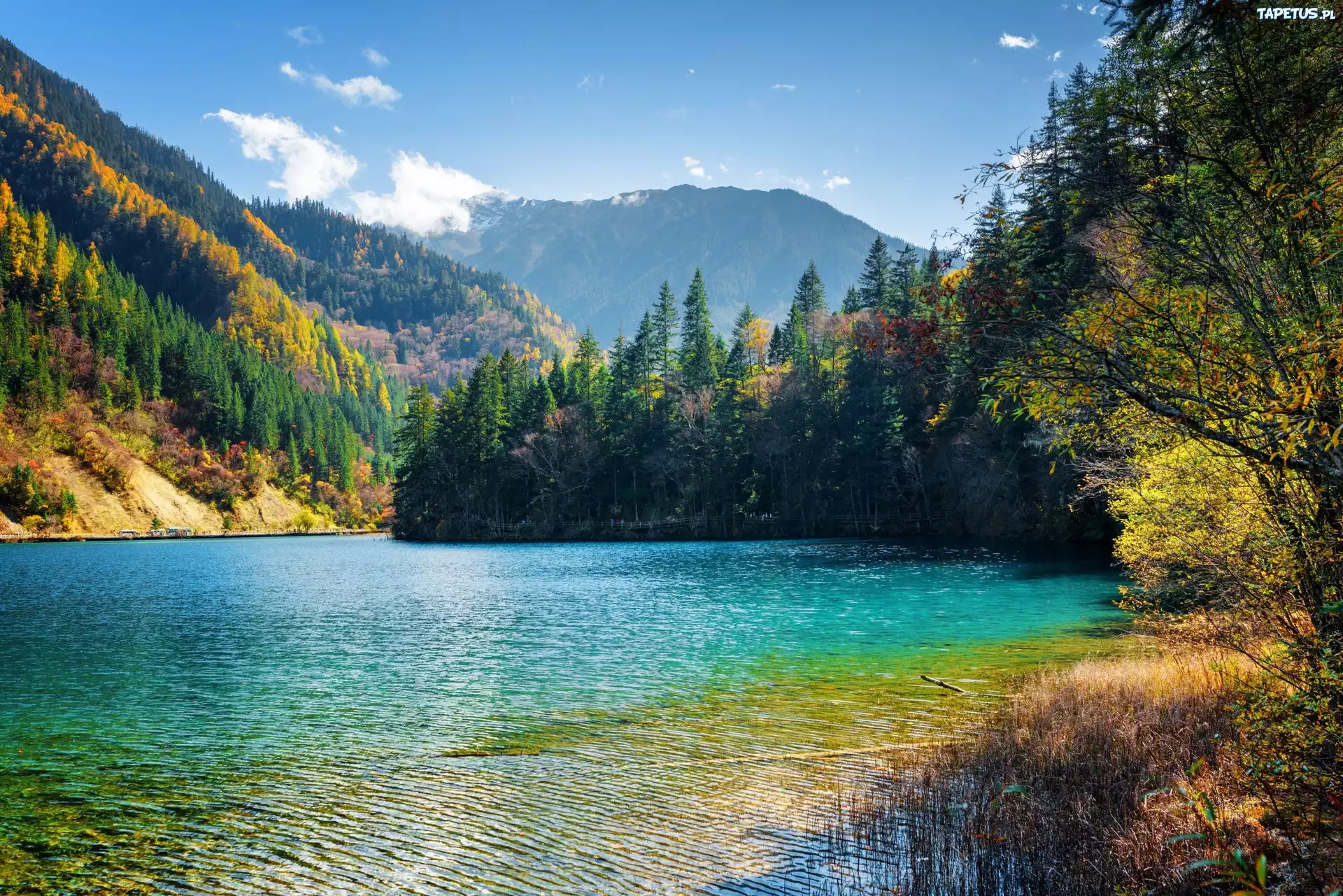 Chiny, Park Narodowy Jiuzhaigou, Jezioro Arrow Bamboo, Góry, Lasy, Drzewa
