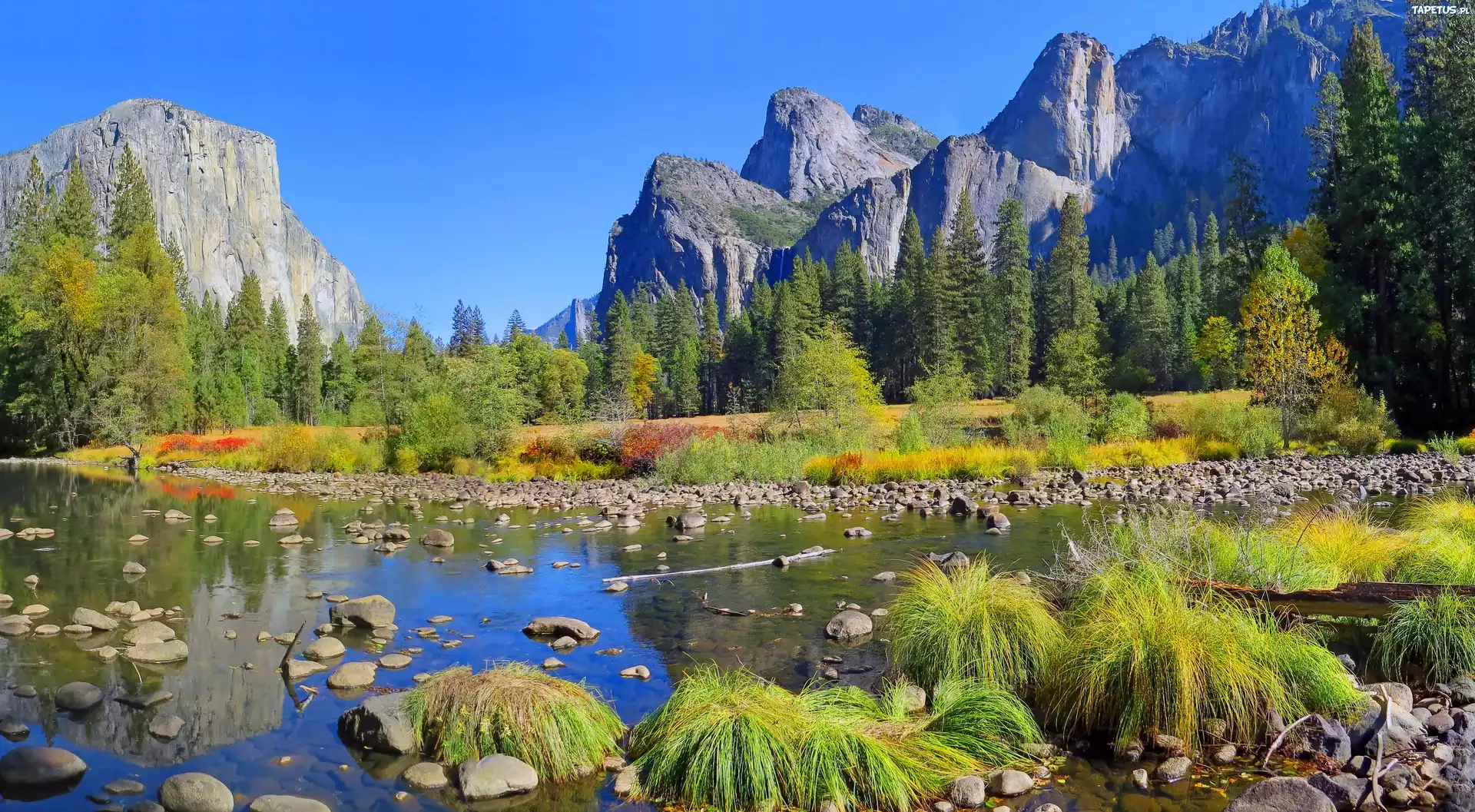 Góry, Rzeka, Las, Kamienie, Yosemite, Roślinność