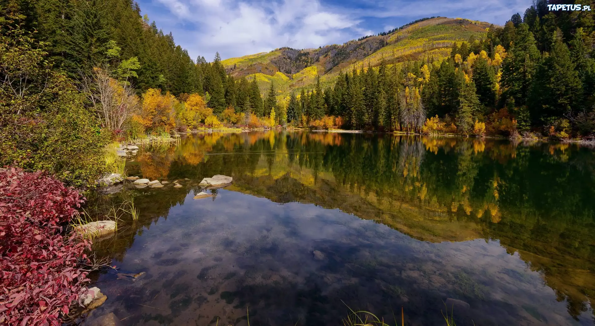 Stany Zjednoczone, Stan Kolorado, Jezioro Lizard Lake, Wzgórza, Jesień, Drzewa