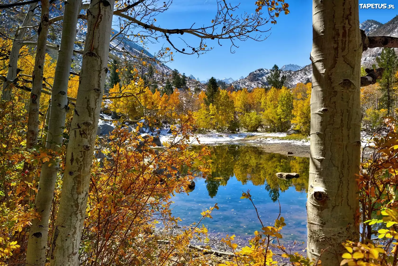 Stany Zjednoczone, Stan Kalifornia, Park Narodowy Yosemite, Jezioro, Góry, Drzewa Jezioro