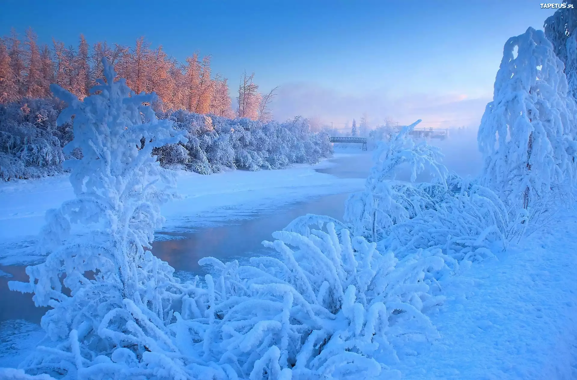 Красота зимнего леса. Снежная красота зимы. Зима Мороз. Самая красивая зима. Красивая морозная зима.