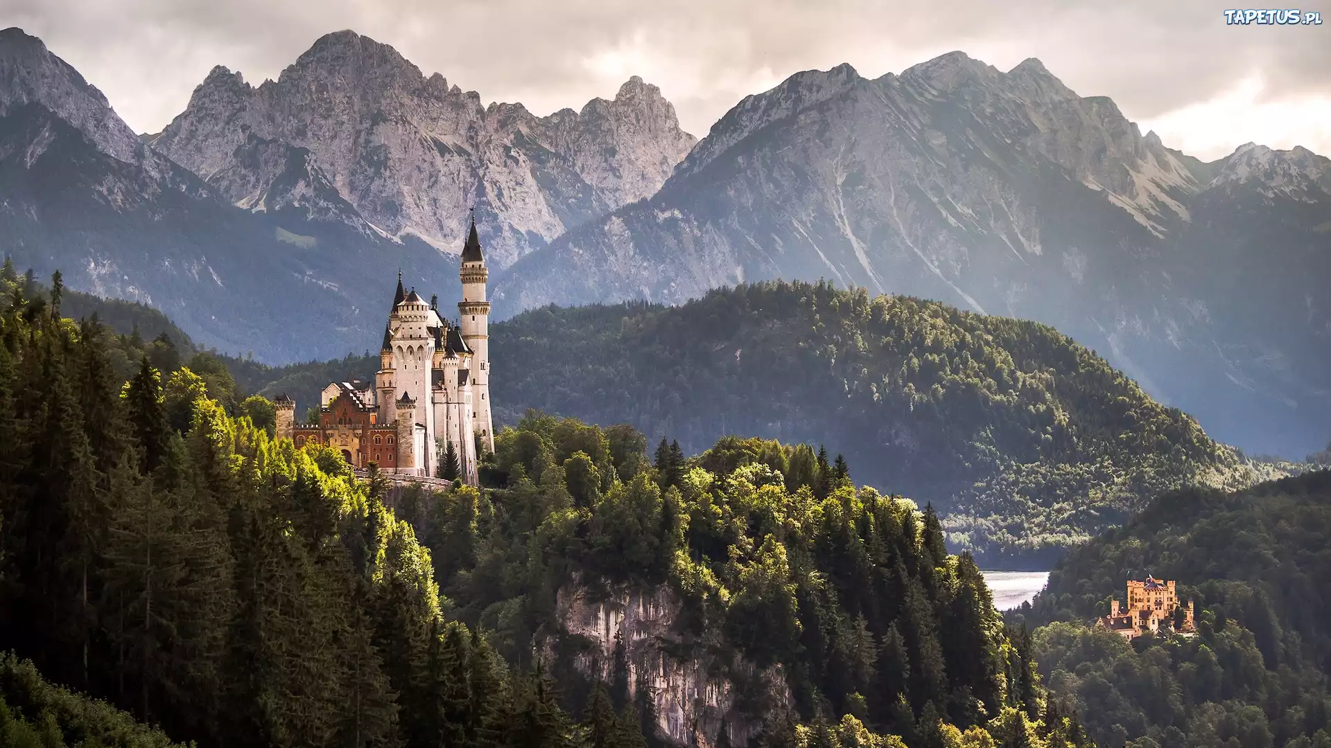 Niemcy, Bawaria, Zamek Neuschwanstein, Góry Alpy, Lasy, Drzewa