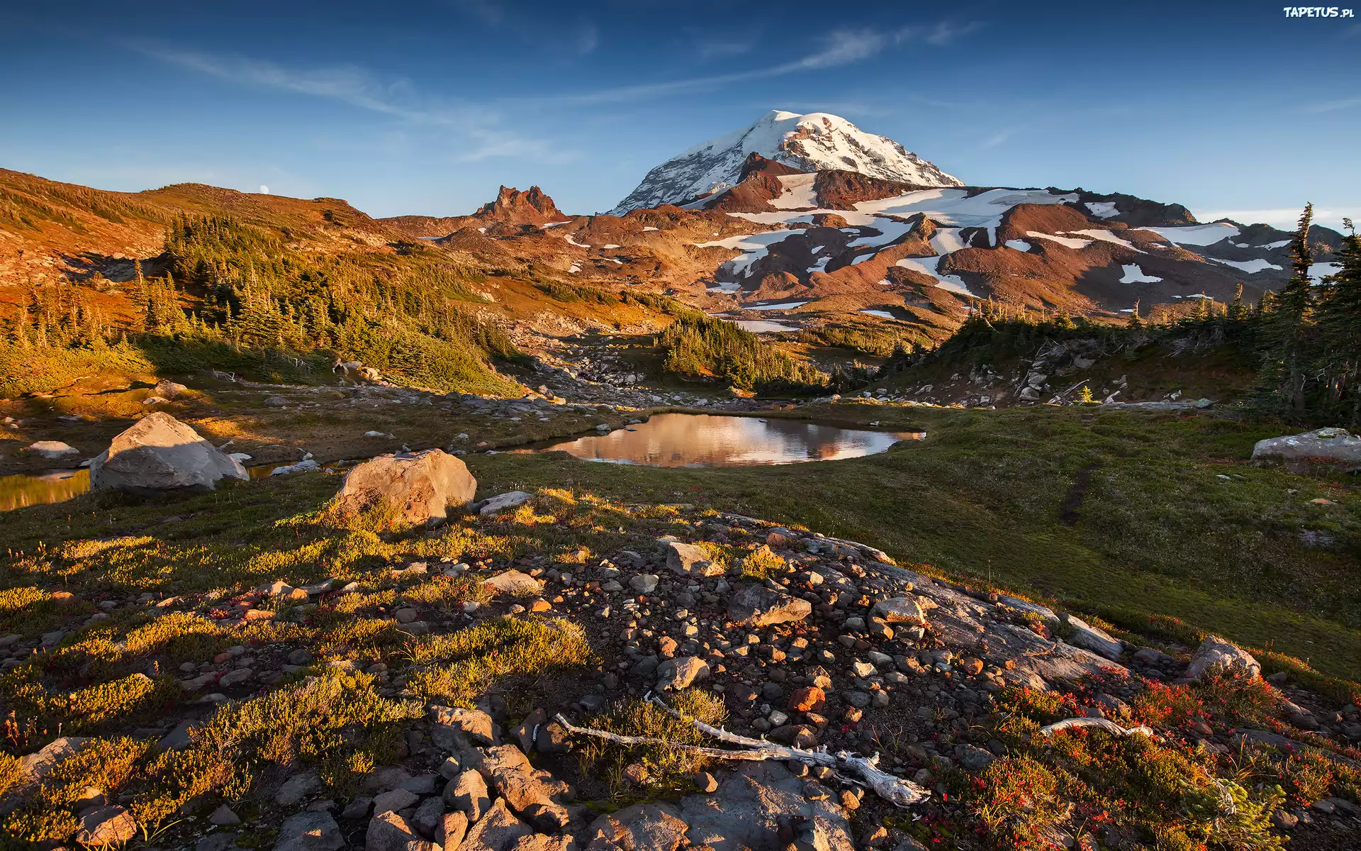 Stany Zjednoczone, Stan Waszyngton, Góry Kaskadowe, Startowulkan Mount Rainier, Kamienie, Drzewa