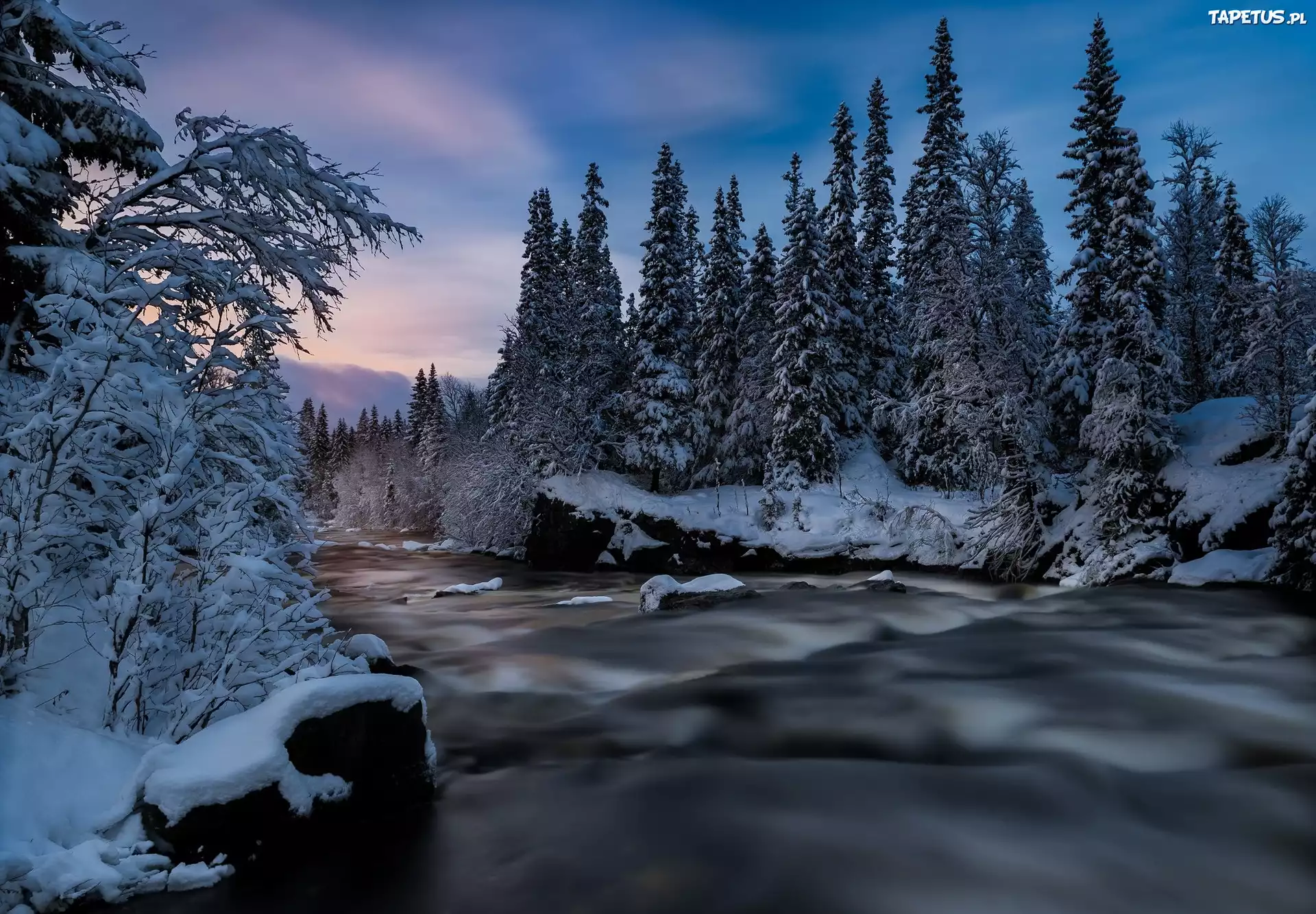 Norwegia, Region Nord-Trøndelag, Gmina Meråker, Zima, Rzeka, Ośnieżone, Drzewa