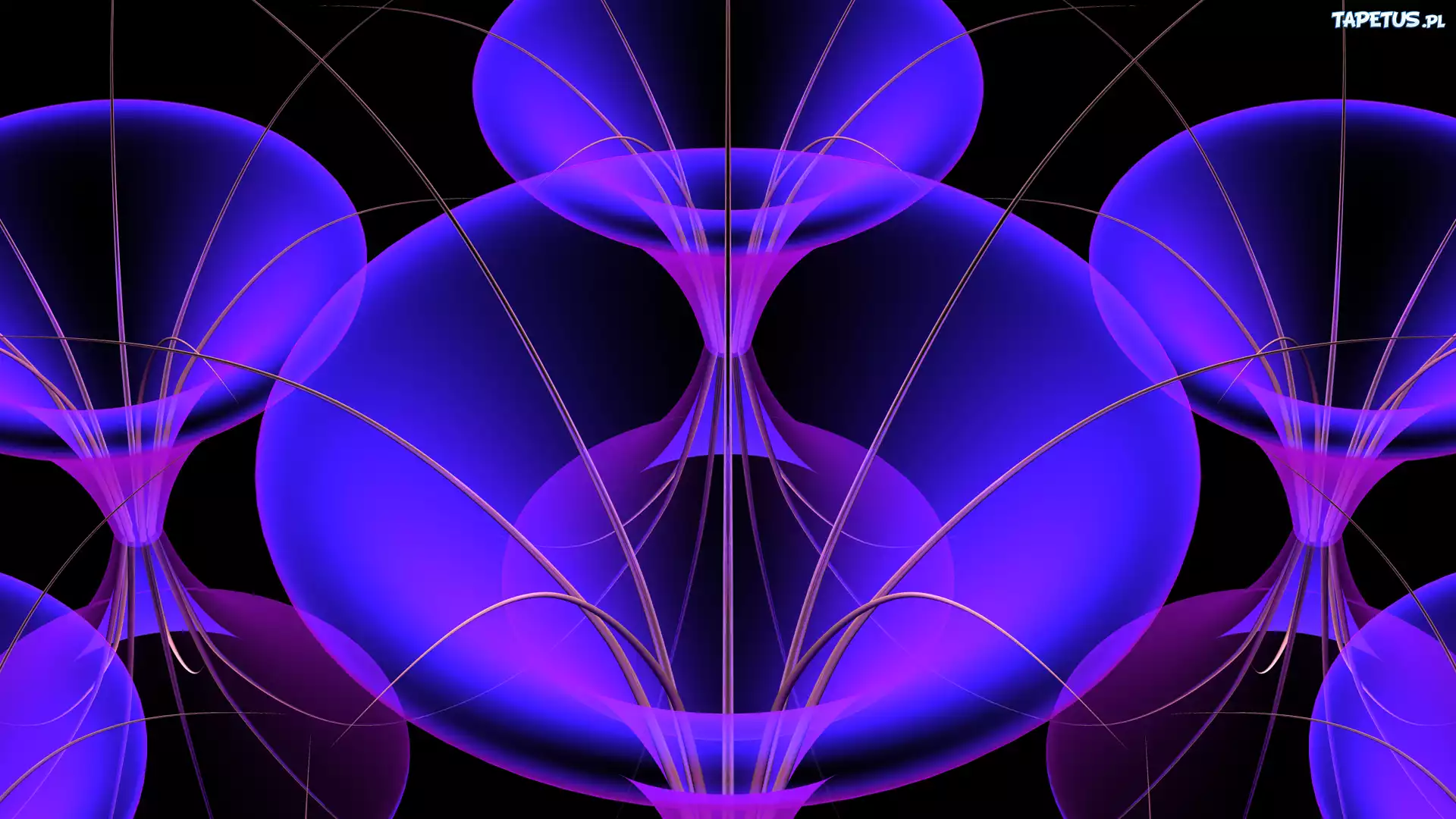 Granatowa, Grafika 3D