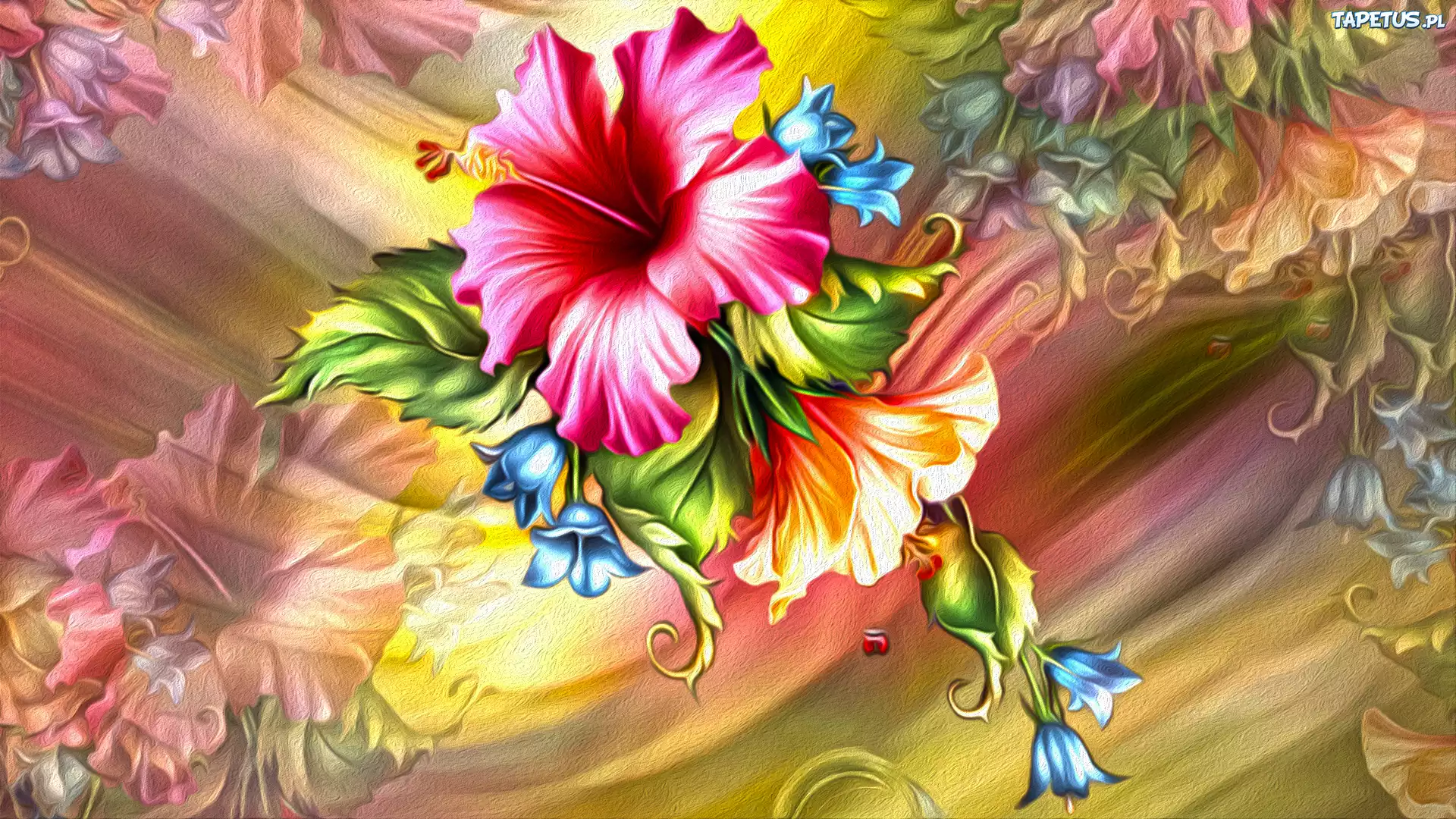 Kwiat, Hibiskus, Grafika