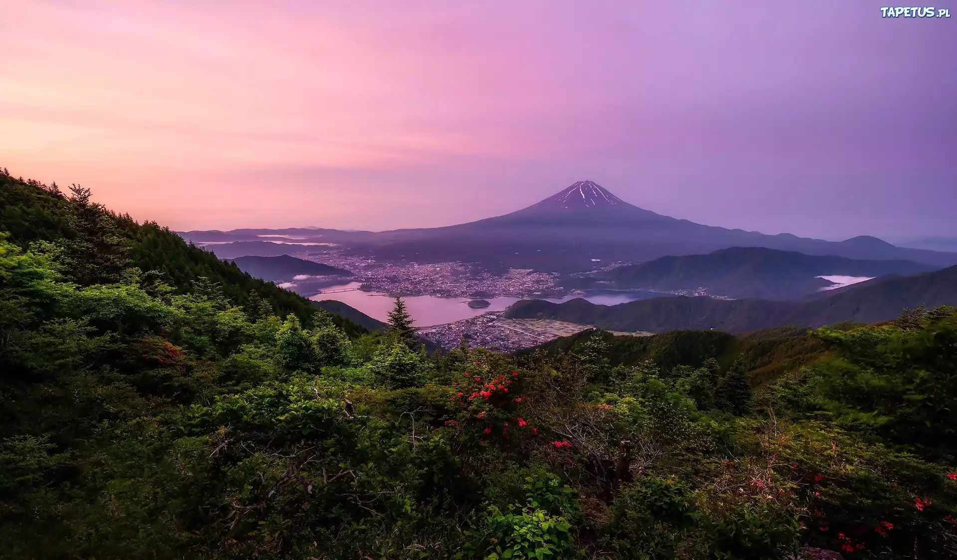 Japonia, Wyspa Honsiu, Góra, Stratowulkan Fudżi, Zachód słońca, Roślinność
