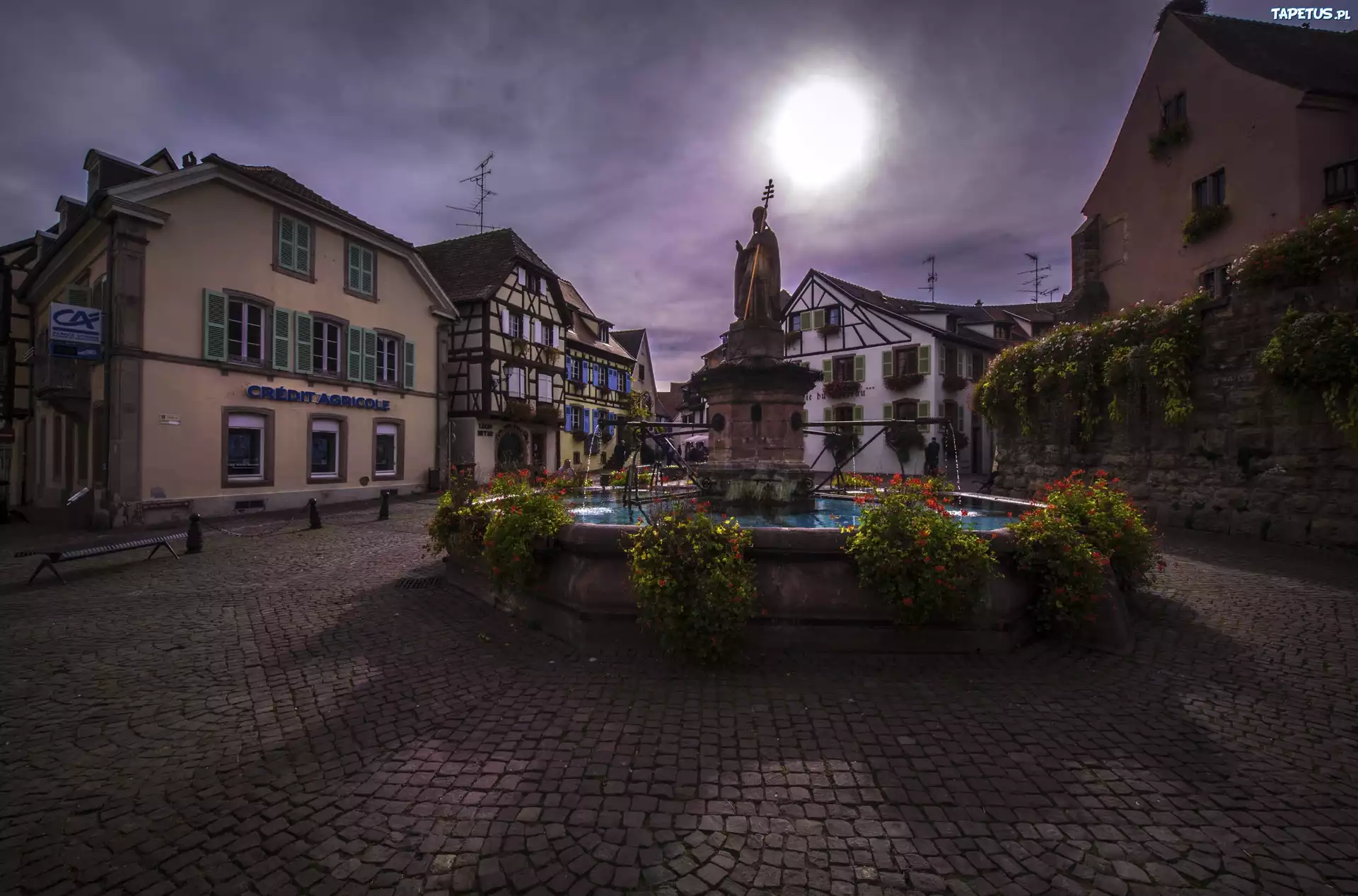 Francja, Eguisheim, Domy, Fontanna, Posąg świętego Leona