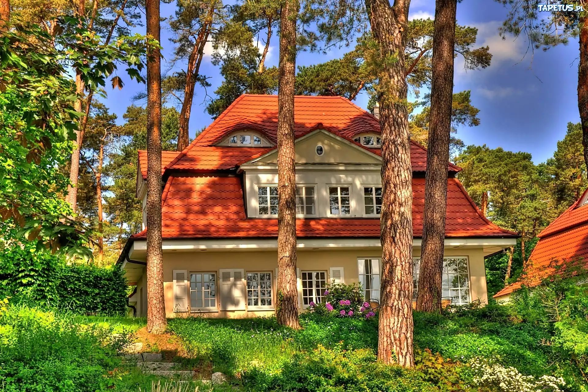 Wiosna, Las, Domy, Przebijające, Światło