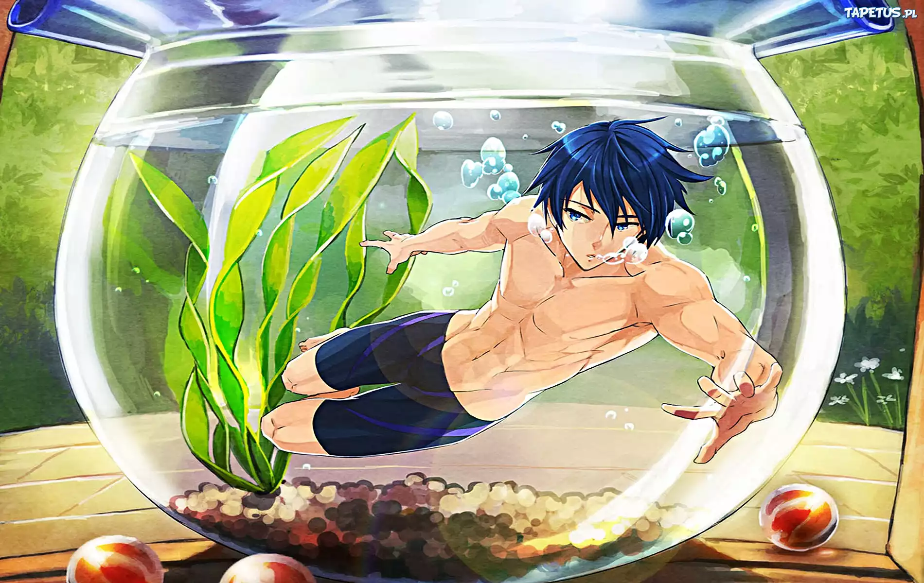 Free! - Iwatobi Swim Club, Nanase Haruka, anime, akwarium