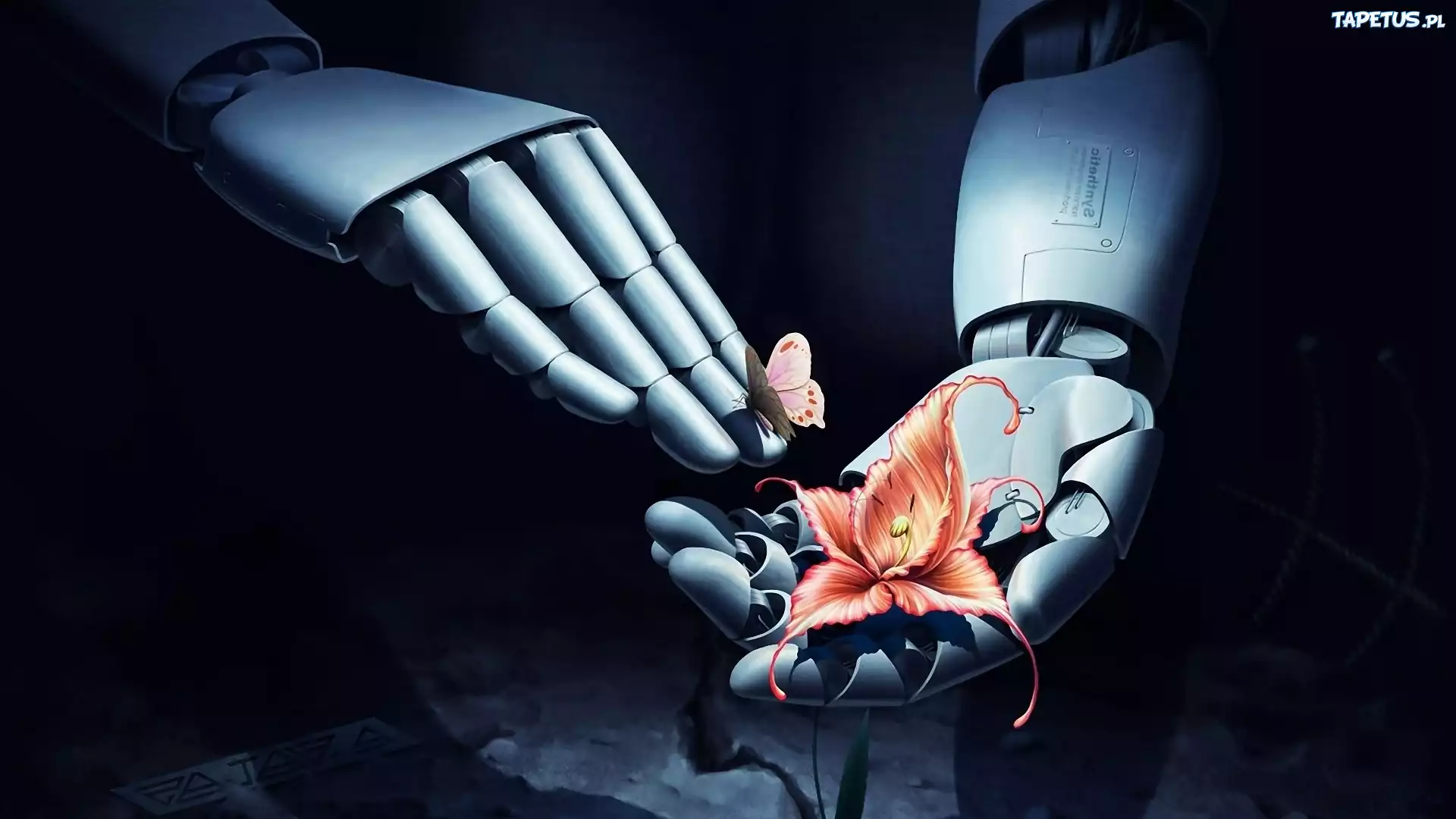 Robot, Kwiat, Motyl, Grafika 3D