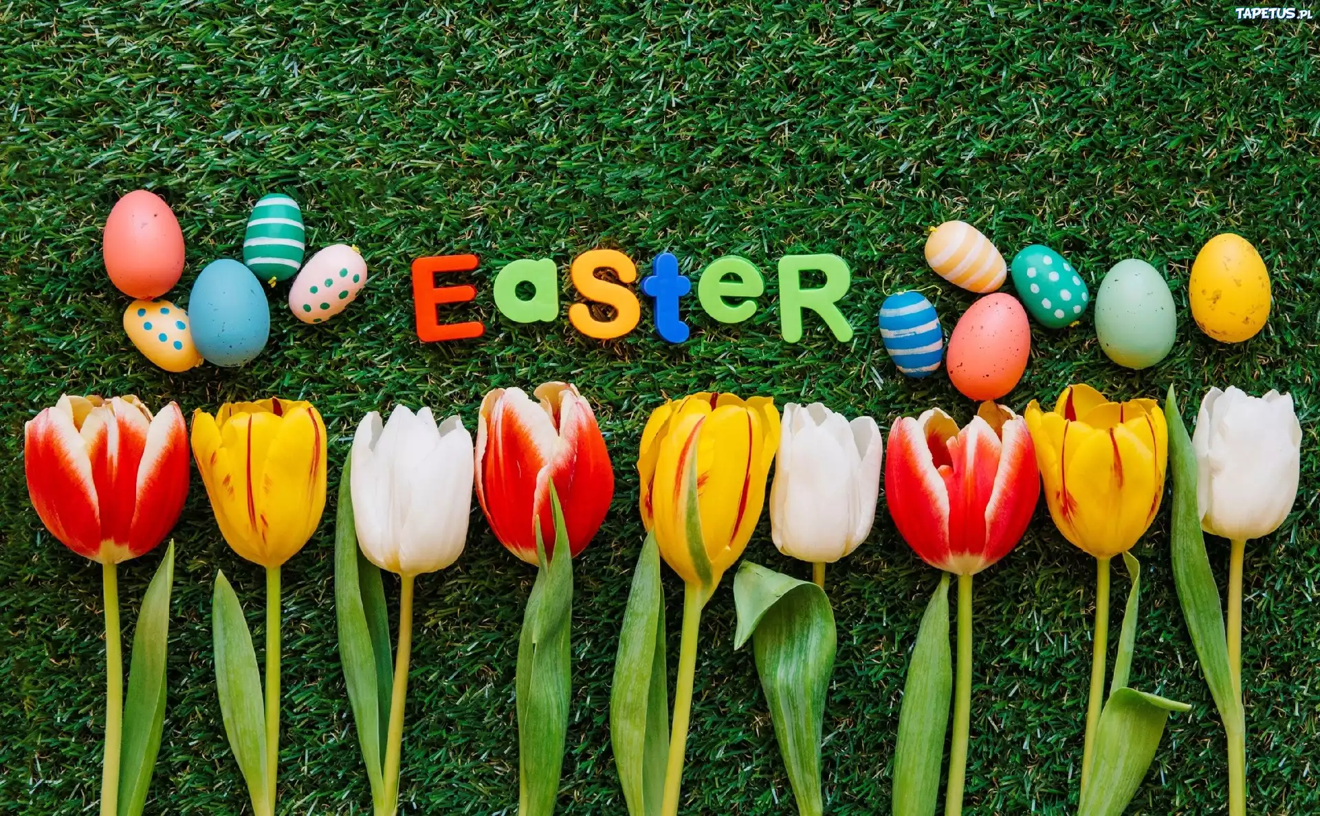 Wielkanoc, Tulipany, Pisanki, Napis, Easter, Trawa