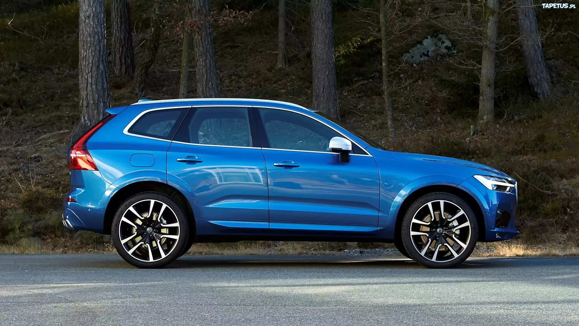 Niebieskie, Volvo XC60, 2017