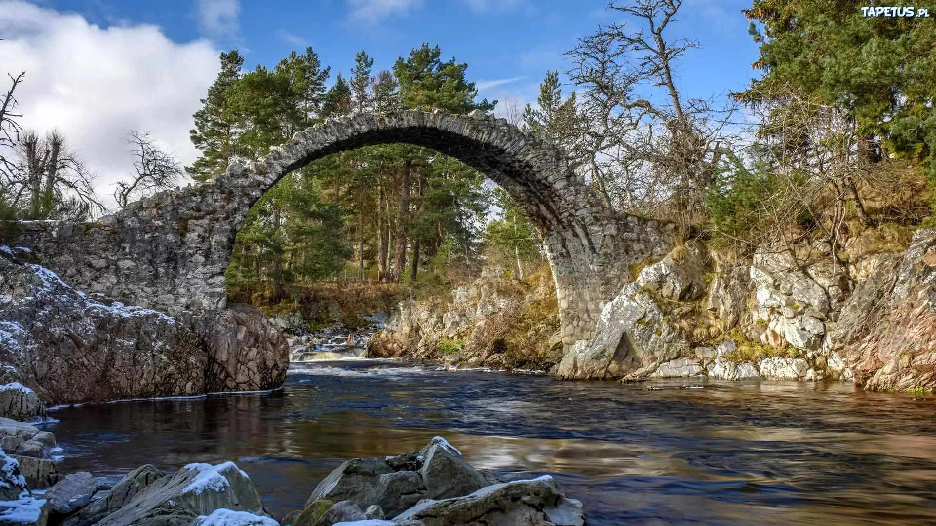 Szkocja, Rzeka Dulnain, Kamienie, Most Carrbridge, Drzewa