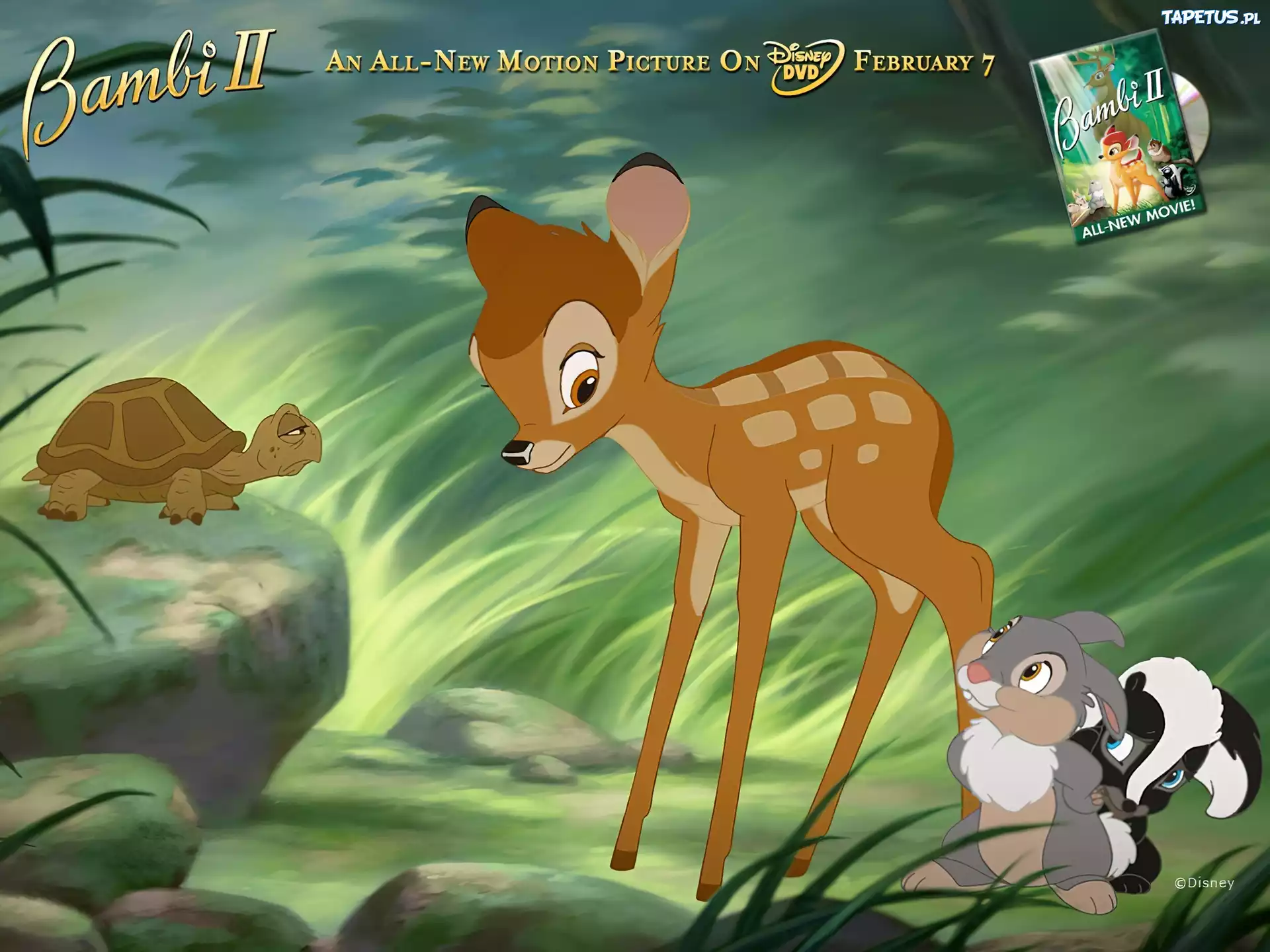 Bambi 2, żółw, królik, skunks