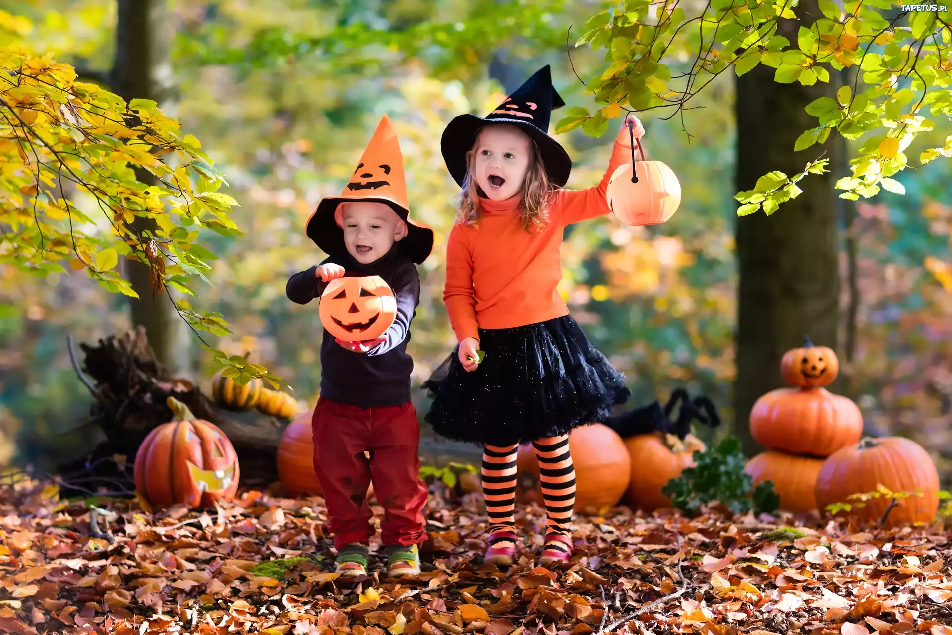 Dzieci, Dynie, Las, Jesień, Halloween