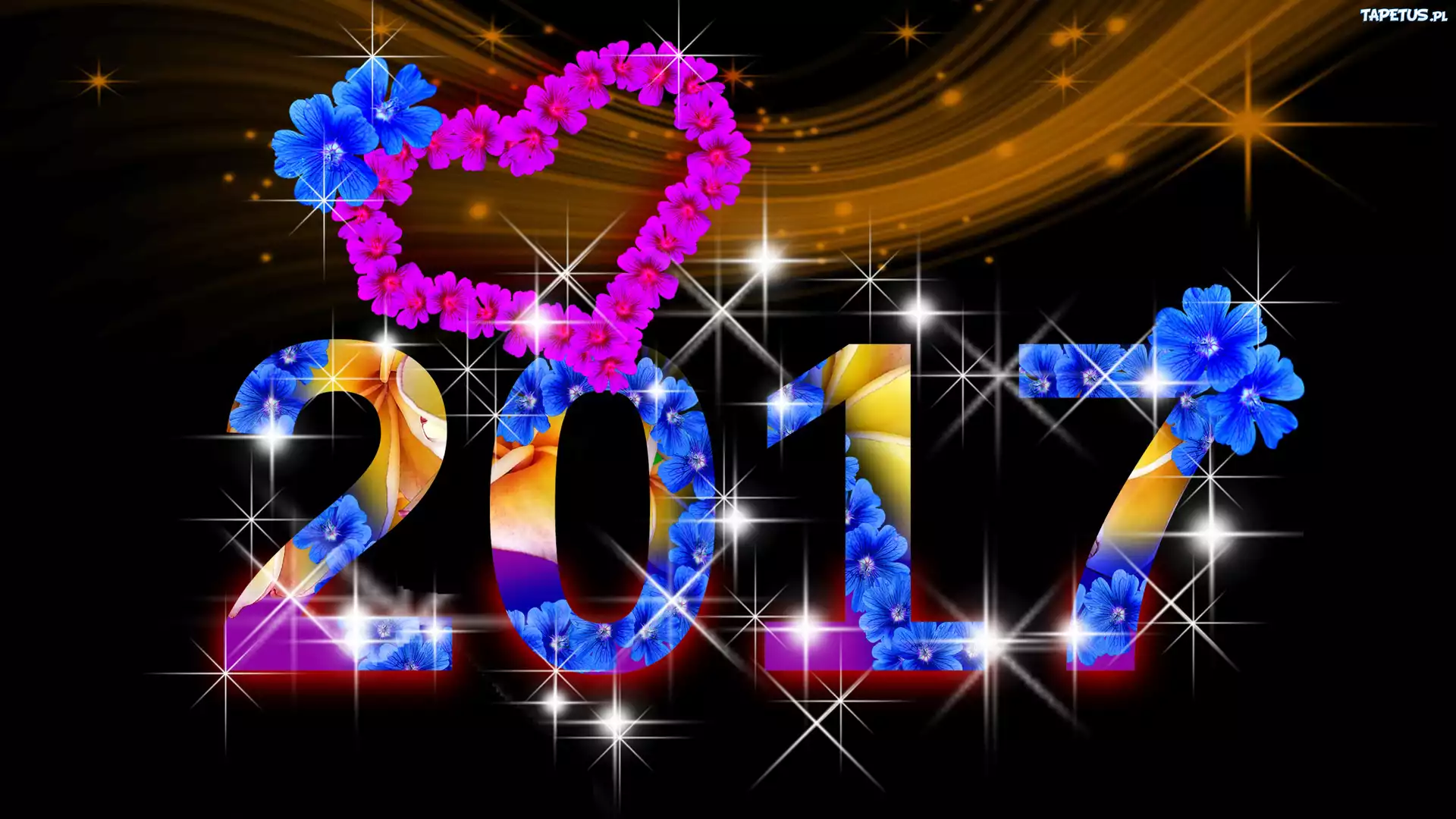 Nowy Rok 2017, Grafika 2D