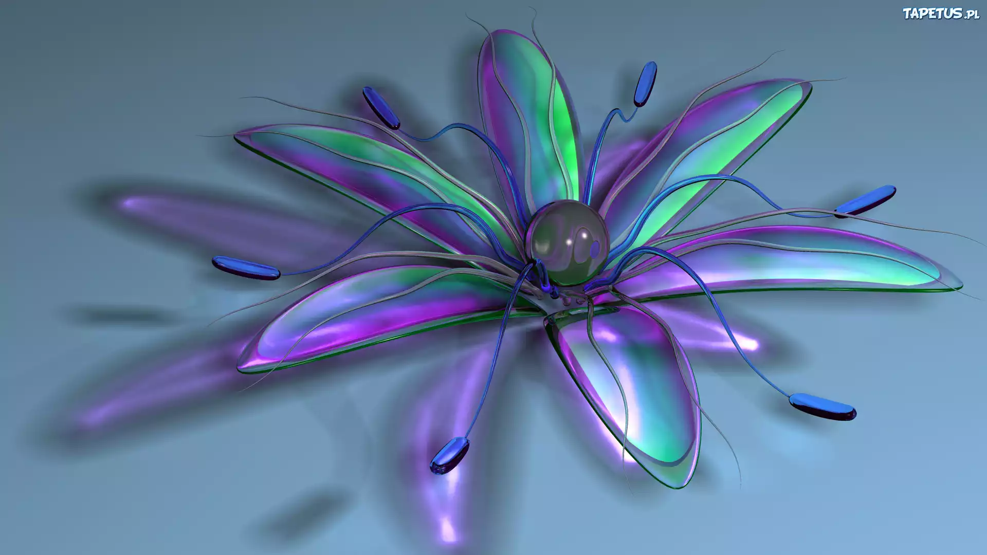 Grafika 3D, Kwiat