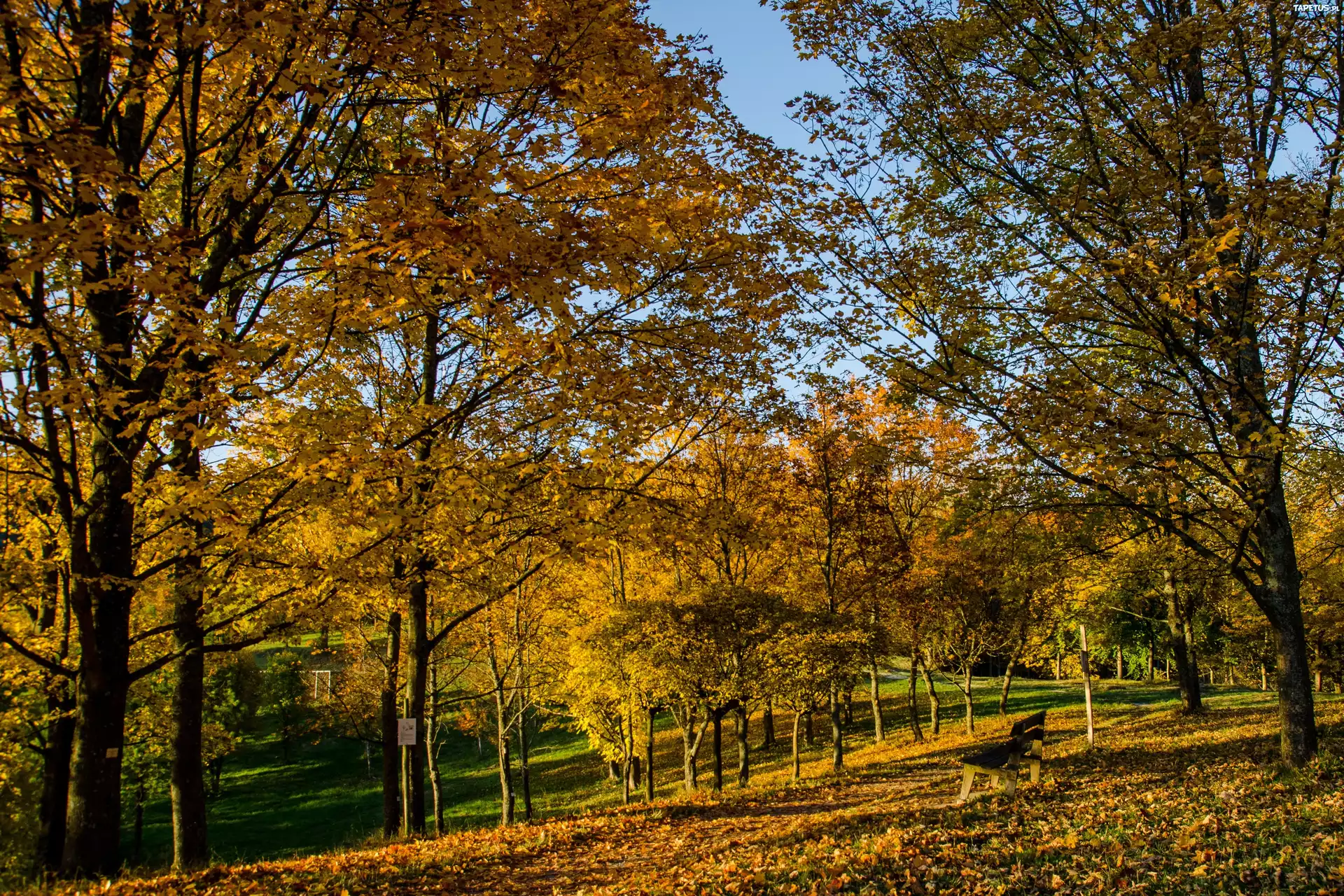 Jesień, Park, Drzewa, Liście, Ławka, Niebo