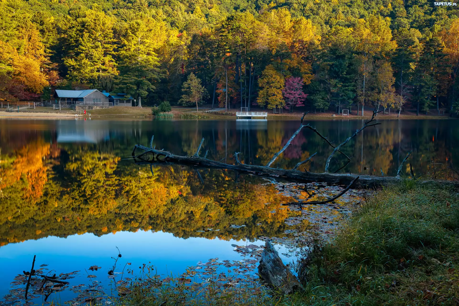 Stany Zjednoczone, Stan Georgia, Vogel State Park, Jezioro Trahlyta, Jesień