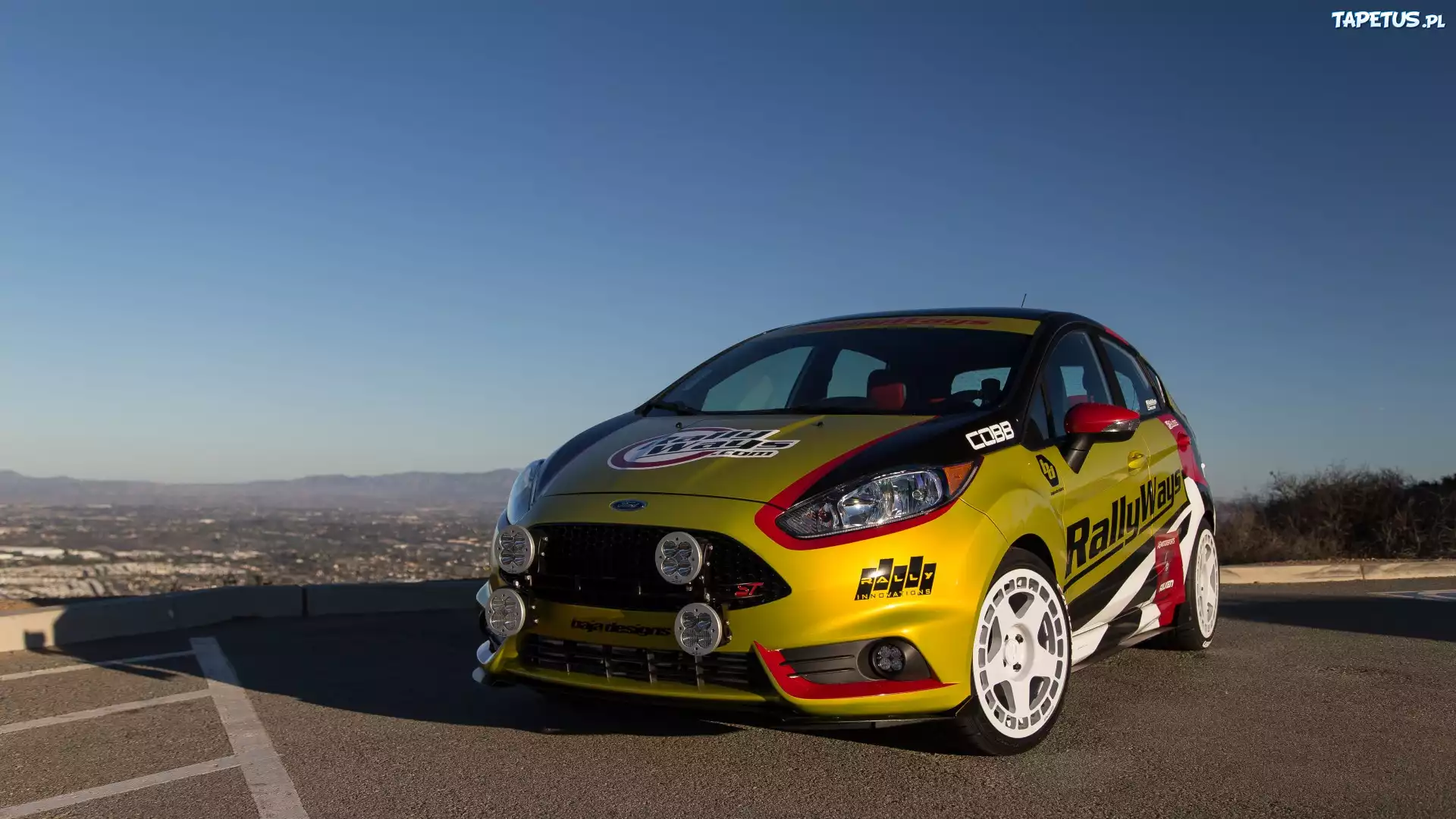Rajdowy, Ford Fiesta ST, 2015