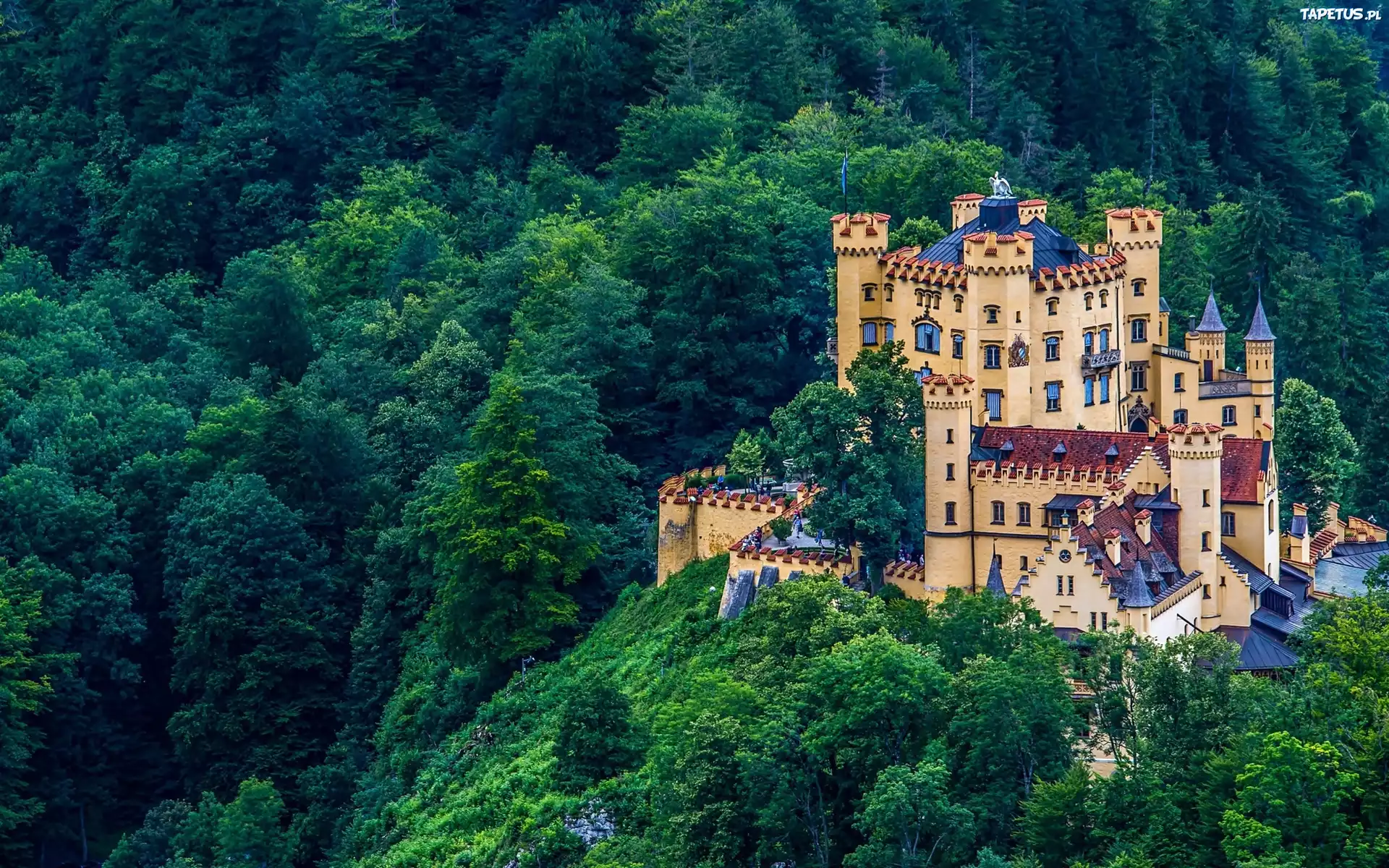 Zamek, Hohenschwangau, Góry, Las, Niemcy