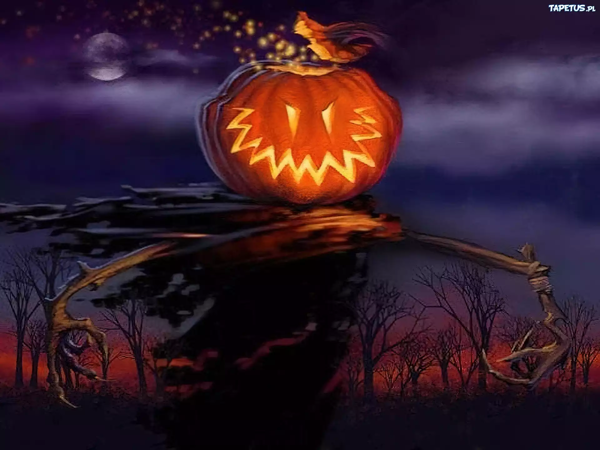 Halloween,dynia