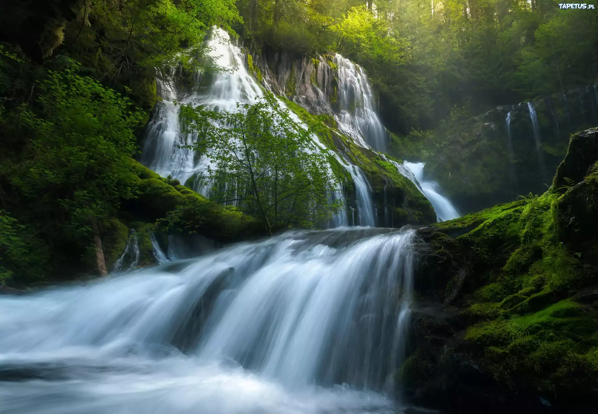 Stany Zjednoczone, Stan Georgia, Panther Creek Falls, Wodospad, Las, Rzeka